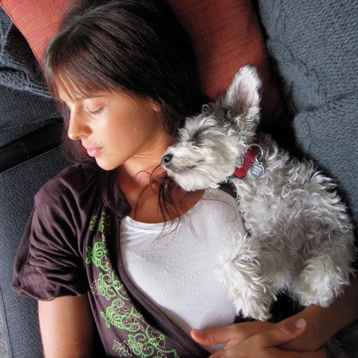 T O &bull; T H E &bull; G Y P S I E

This little girl has my whole heart. And was the best decision I ever made. When I was a young I would dream of having a dog. It took 27 years for her to find me and immediately she became my soulmate, I took her 