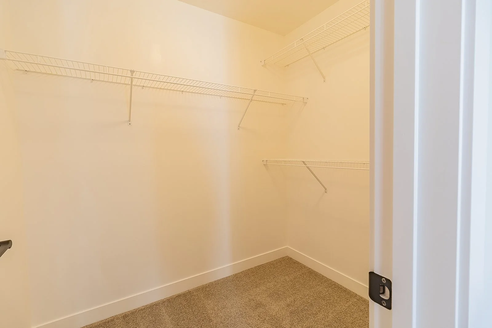 3C2A0039-HDR.jpg