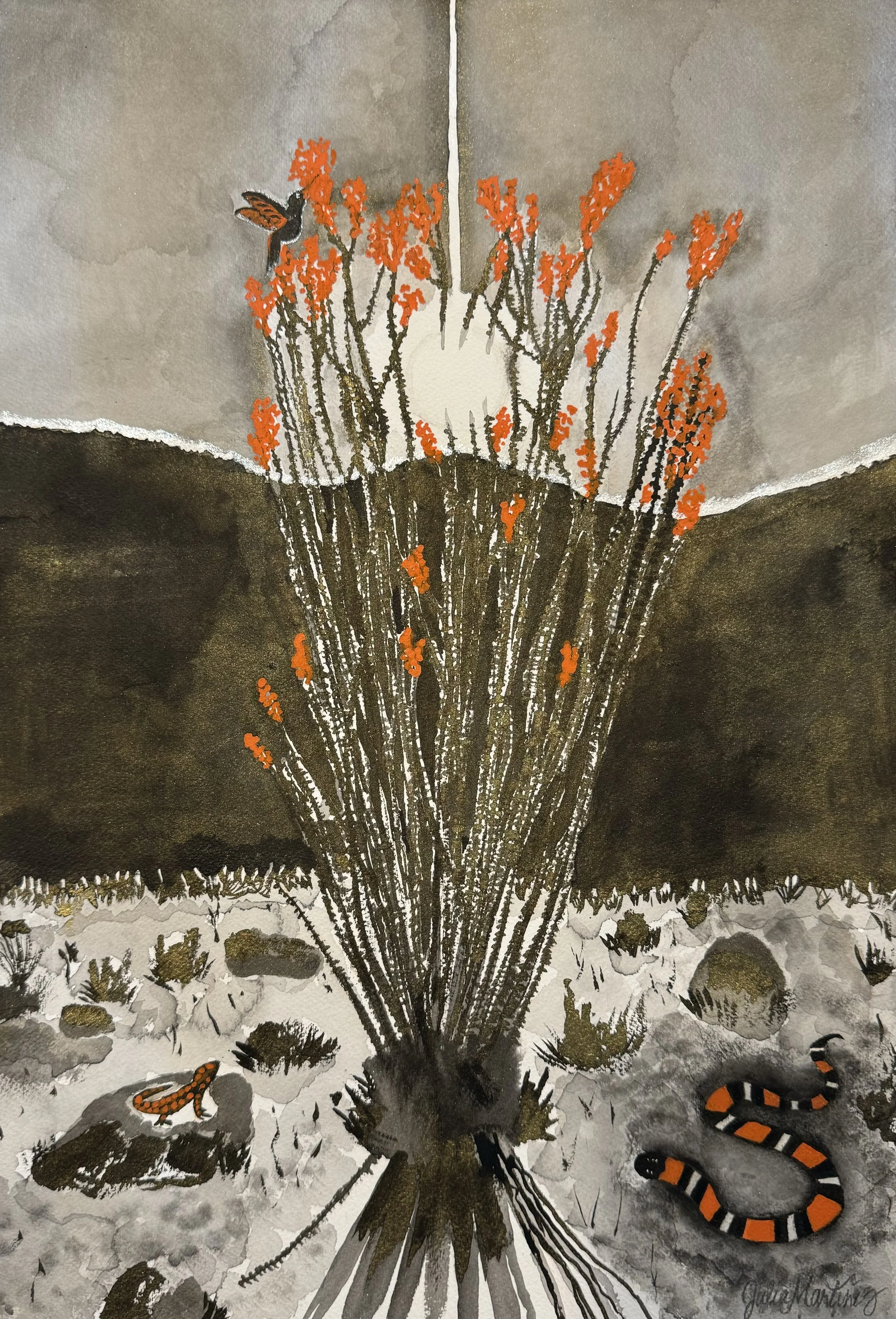 Ocotillo de Fuego