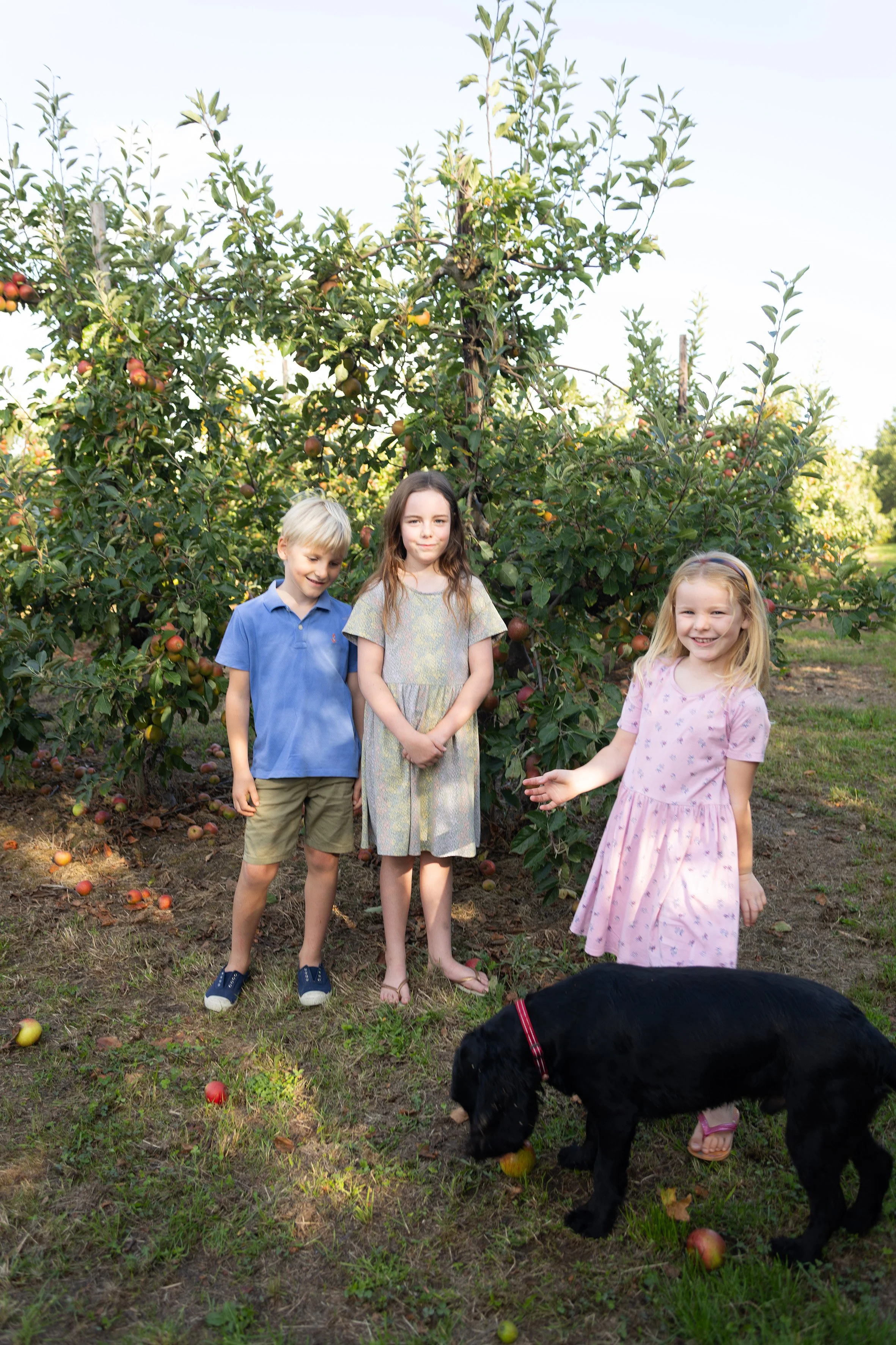 hertsfamilyphotographer.jpg