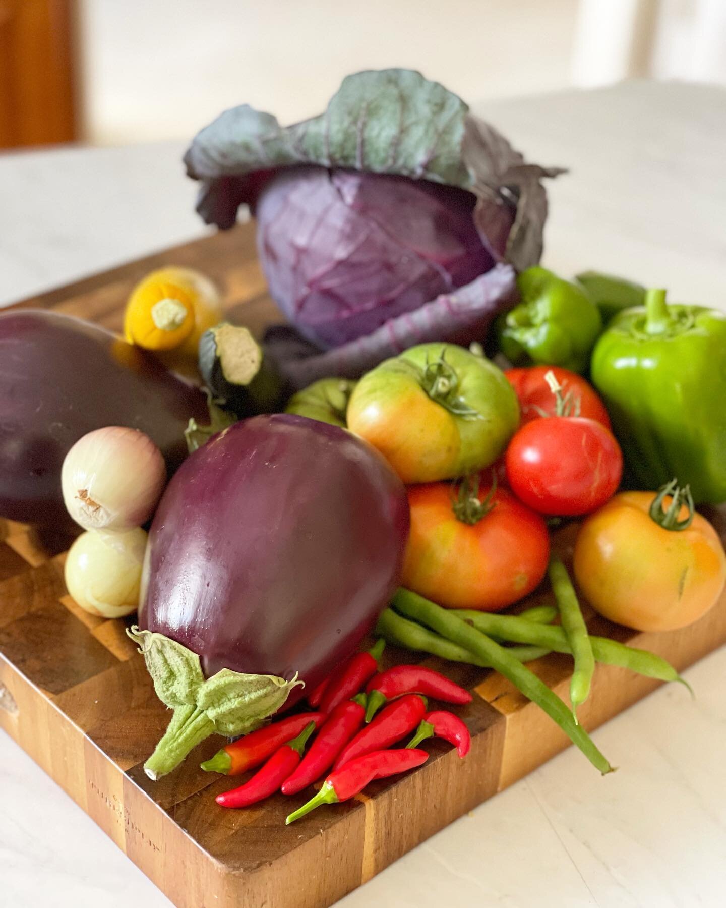 Gardening this year has not been easy&hellip; so super excited about this harvest! This was our first year growing red cabbage, eggplant, onion, green beans, bell pepper and Chili peppers. Still awaiting the arrival of our Brussels sprouts 😁🫛🪴🌱 #