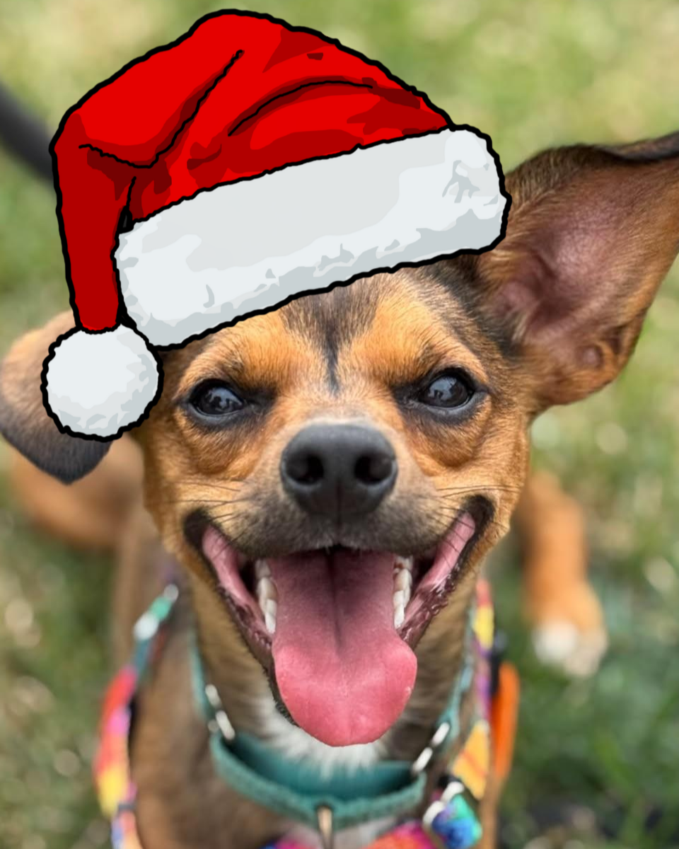 Pictures with Santa - Saturday, November 29th!