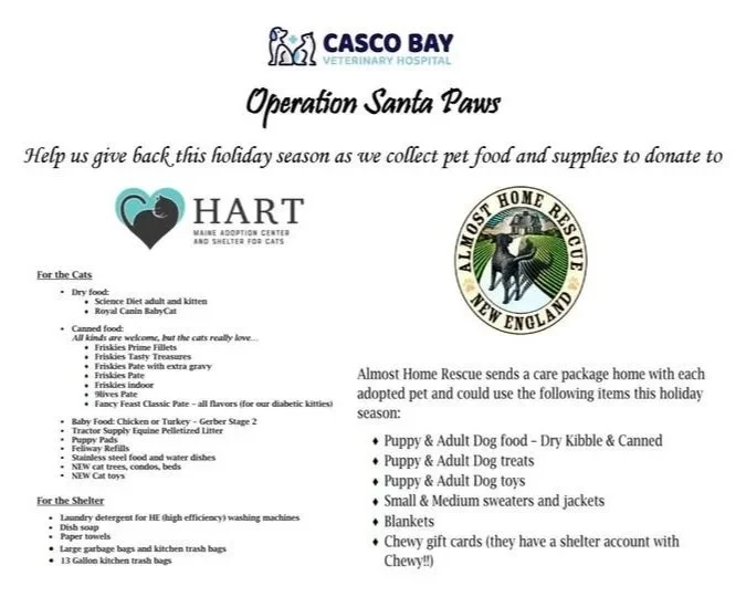 Operation Santa Paws at CBVH!