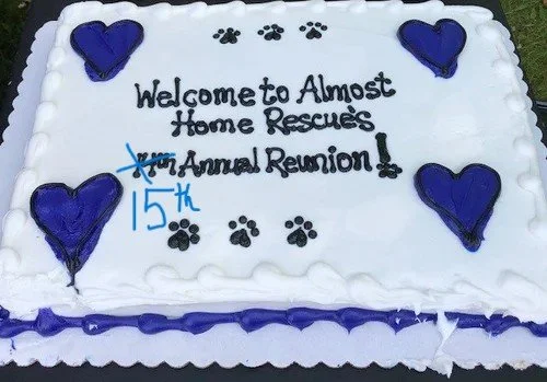 Almost Home Rescue REUNION!