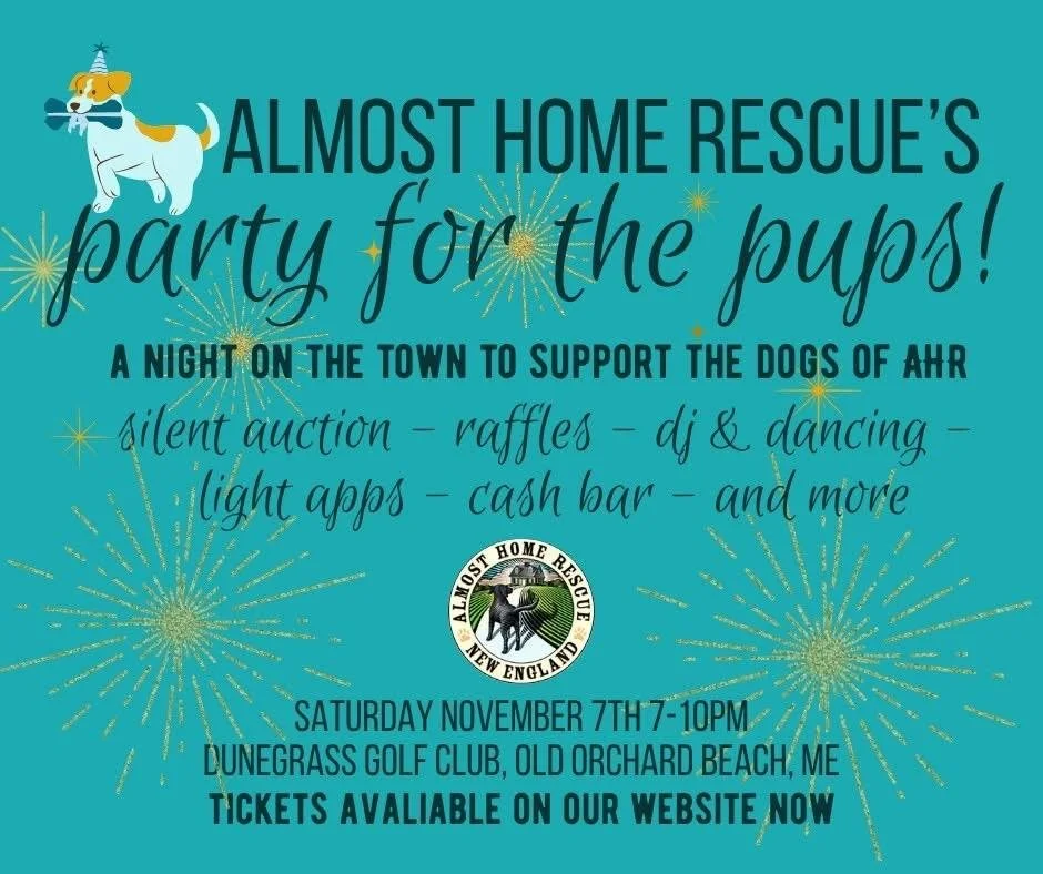 The Party for the Pups!
