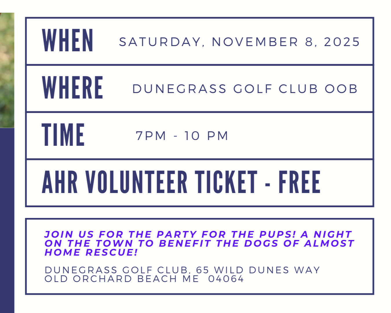 Party for the Pups Volunteer