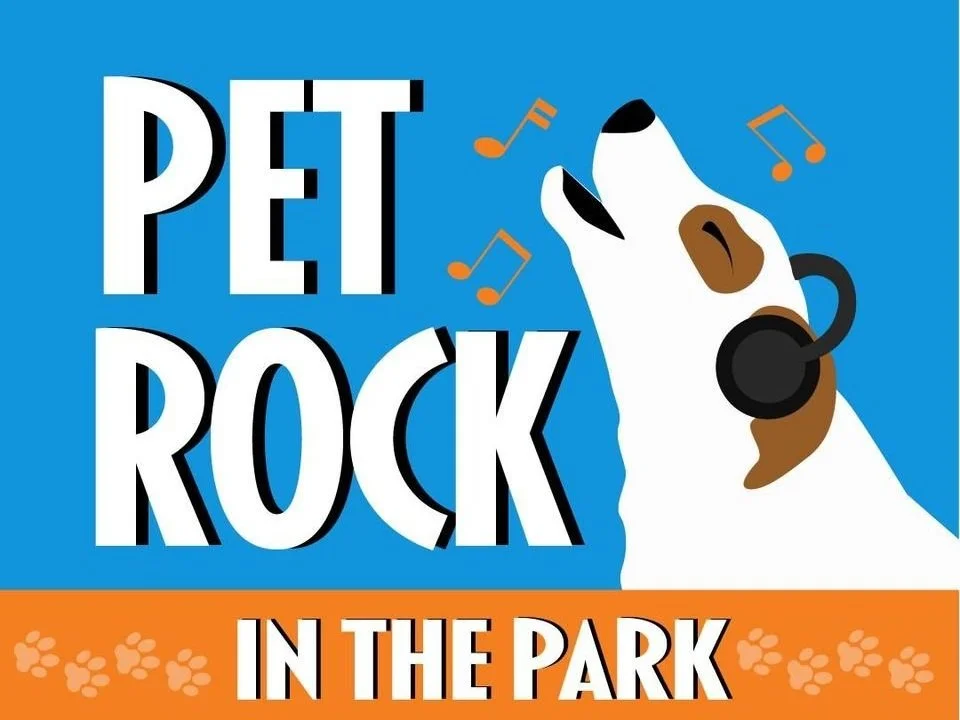 Pet Rock in the Park