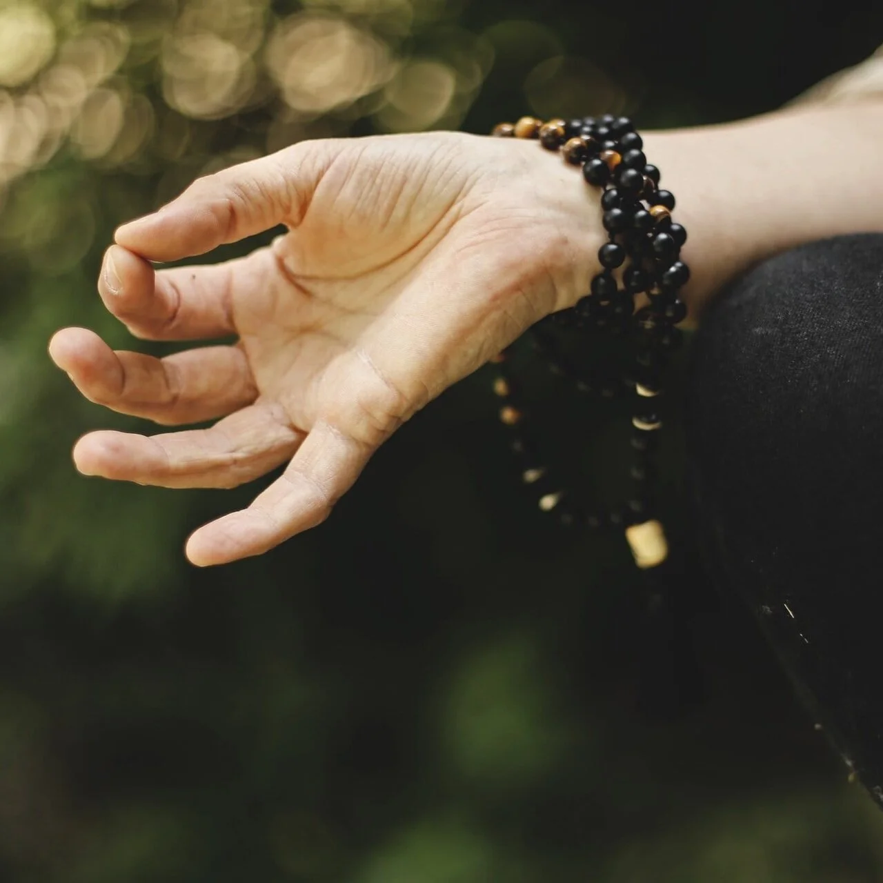 Meditation Tradition