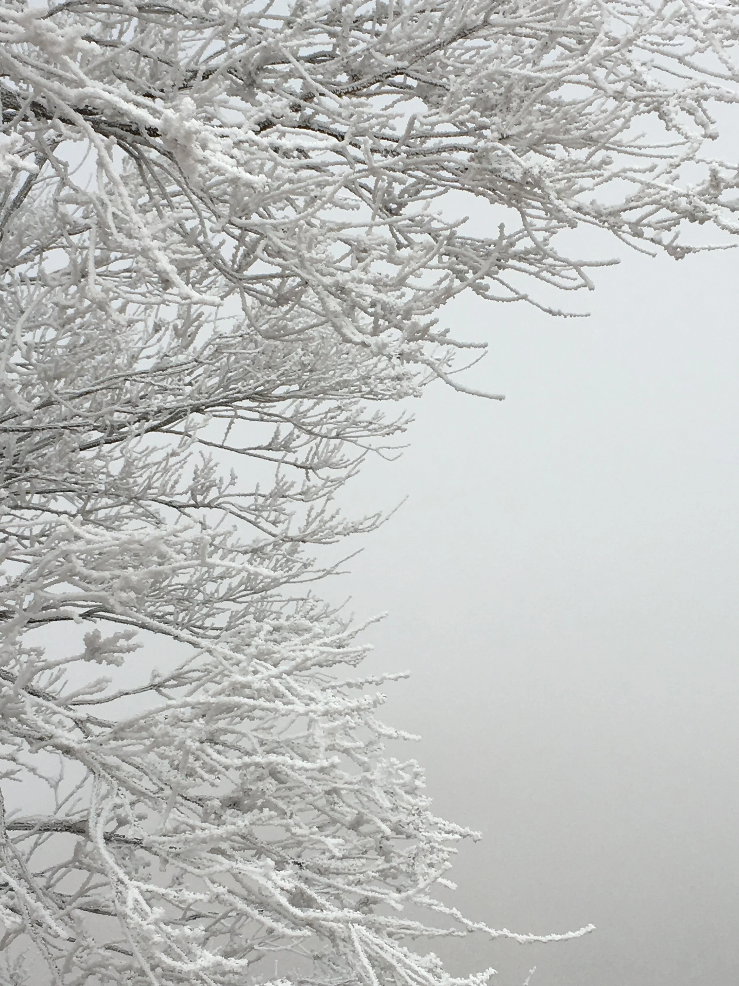 Pratyahara Tradition