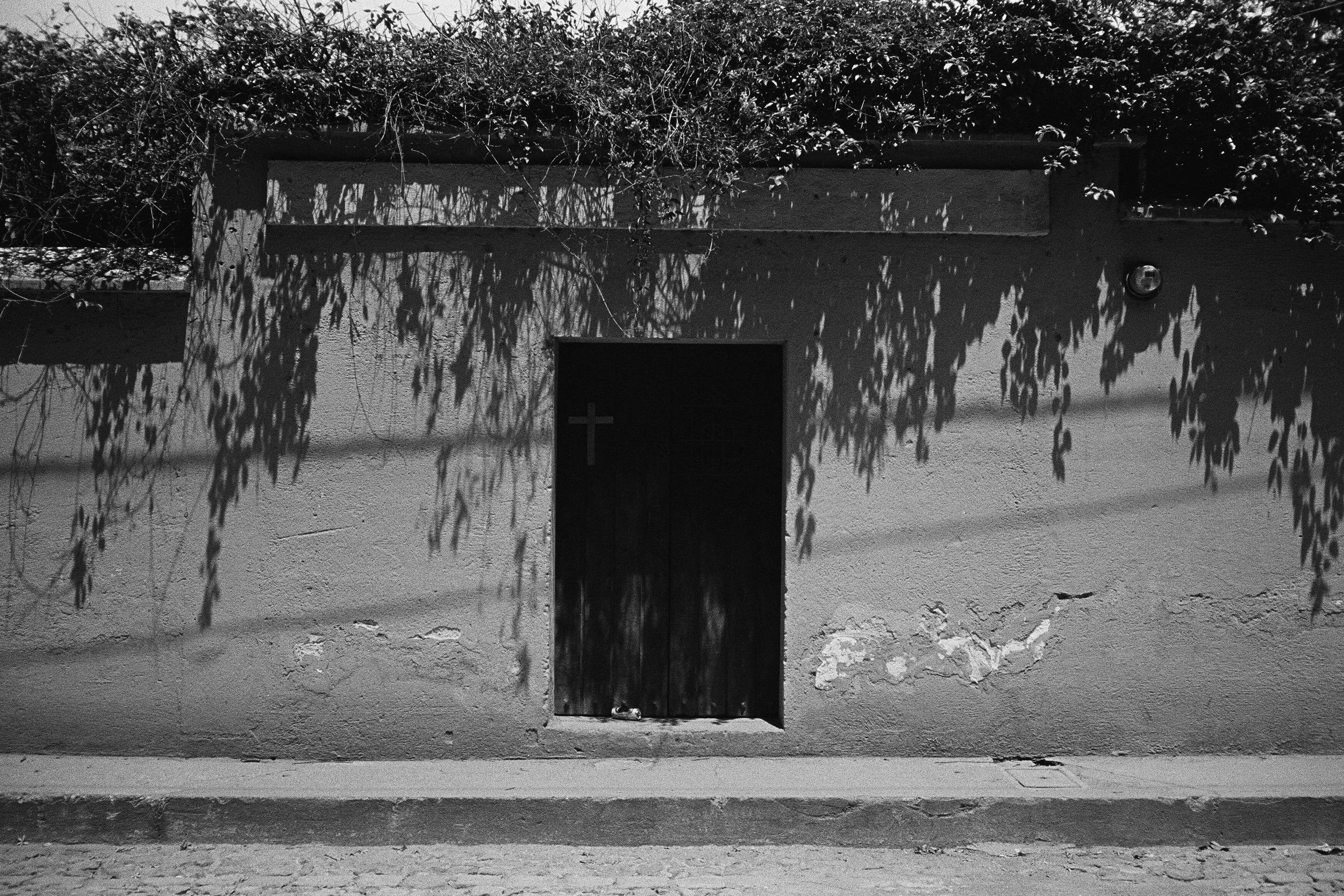 65960002 edit 1 copy.jpg