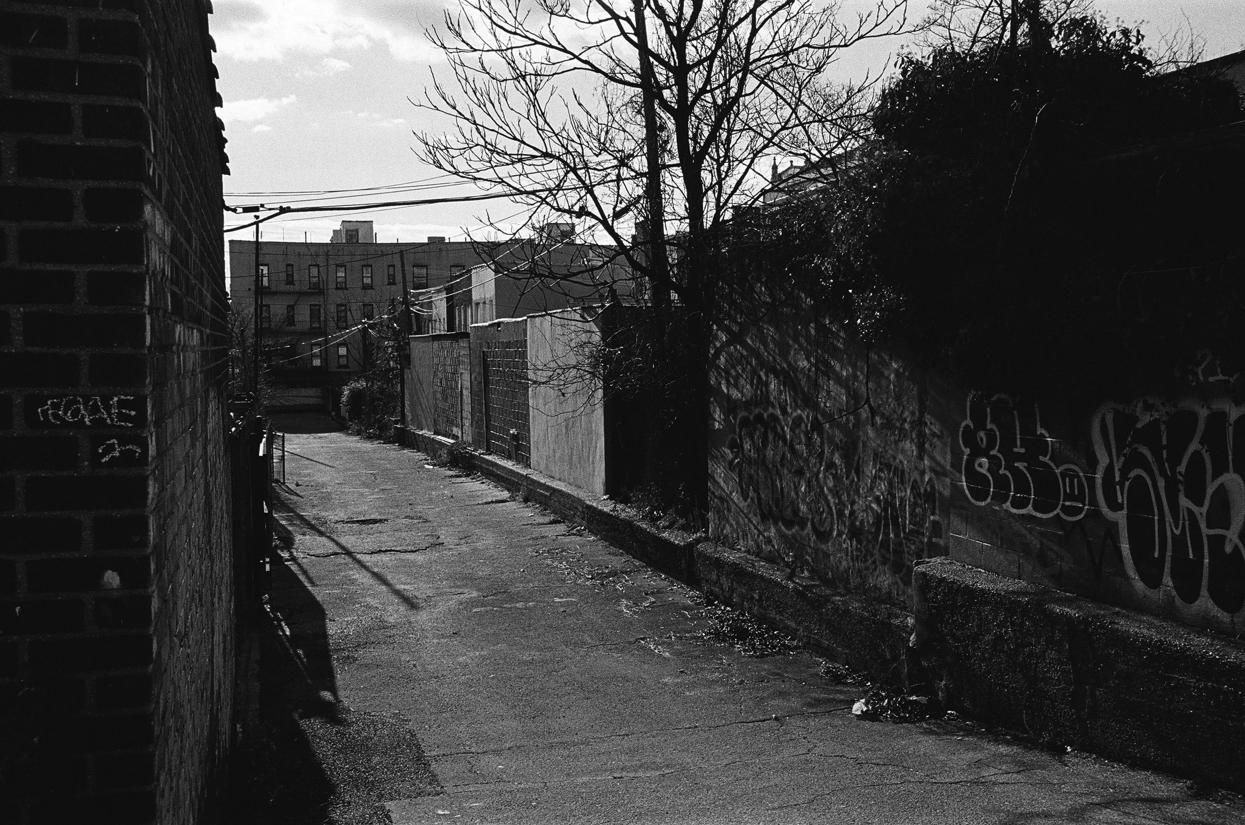 000011920036 edit copy.jpg