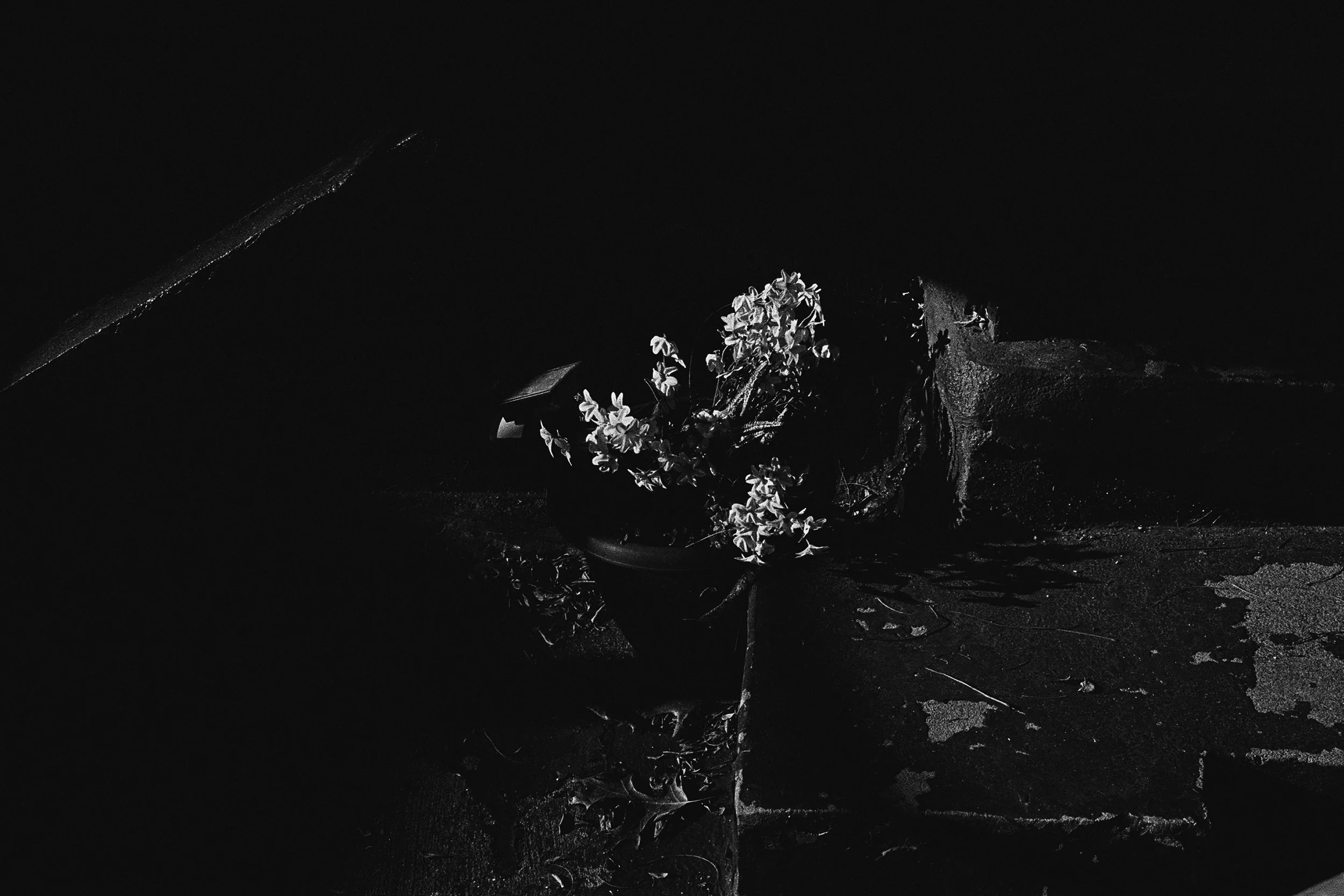 000004140027 edit 2 copy.jpg