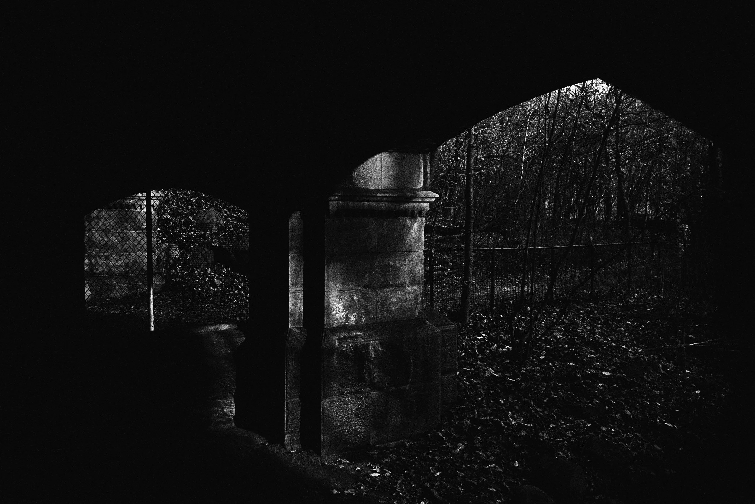 15670022 edit 2 copy.jpg