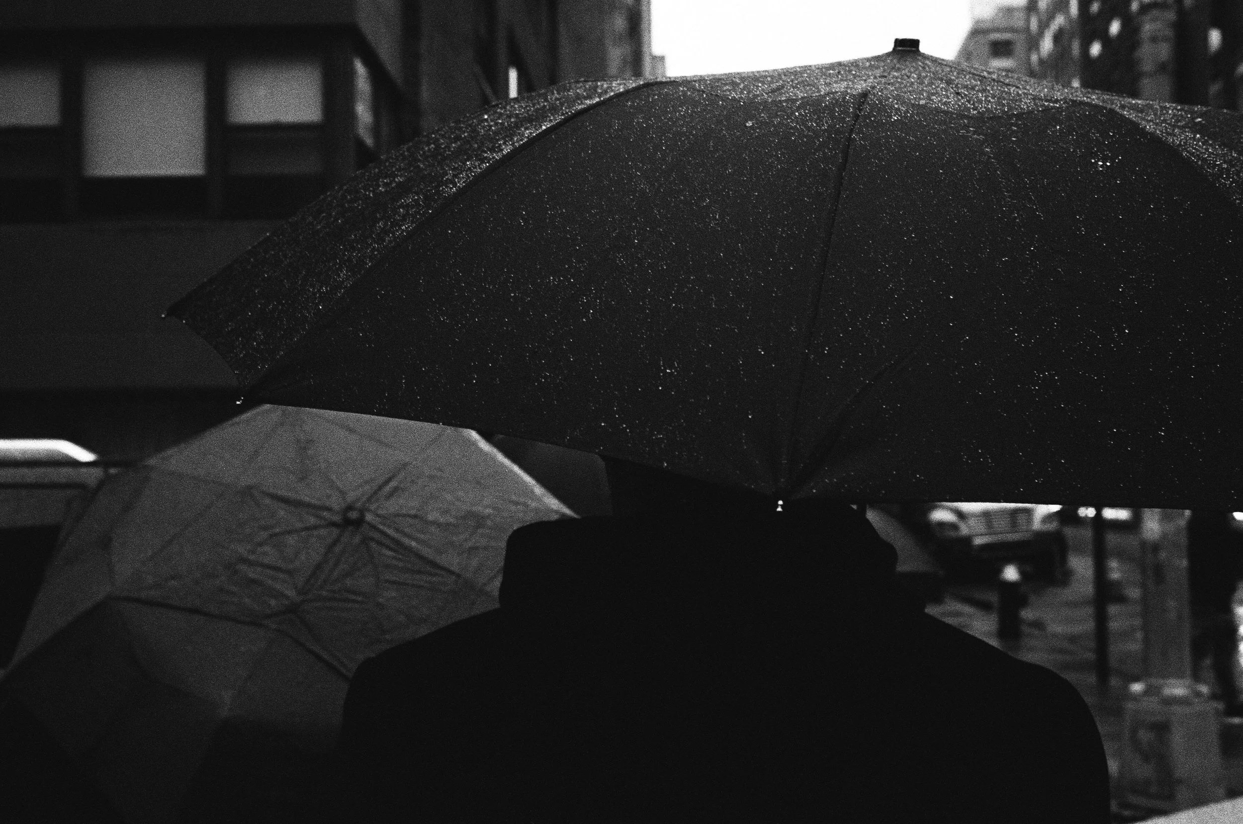 76690025 edit copy.jpg