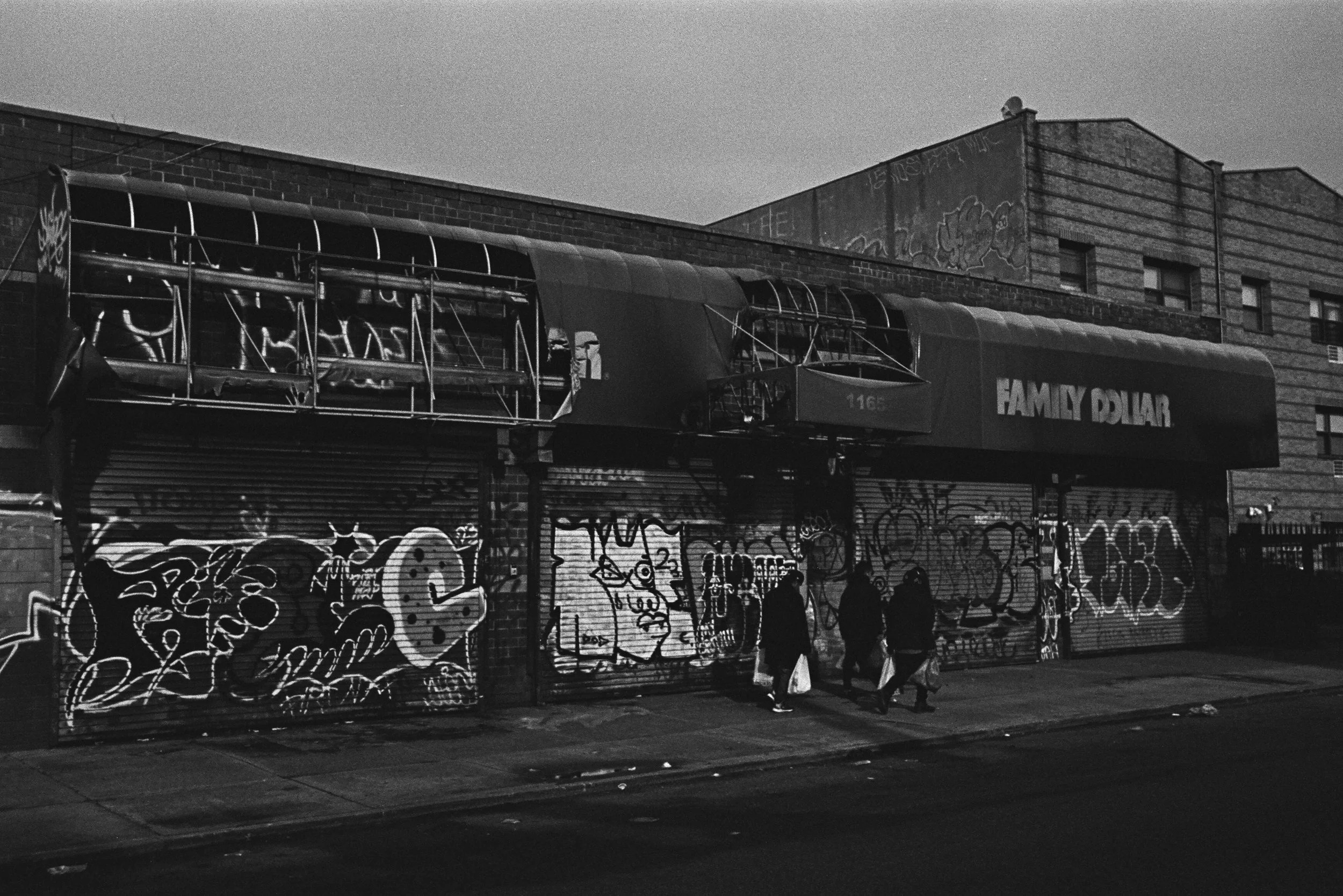 04360033 edit copy.jpg