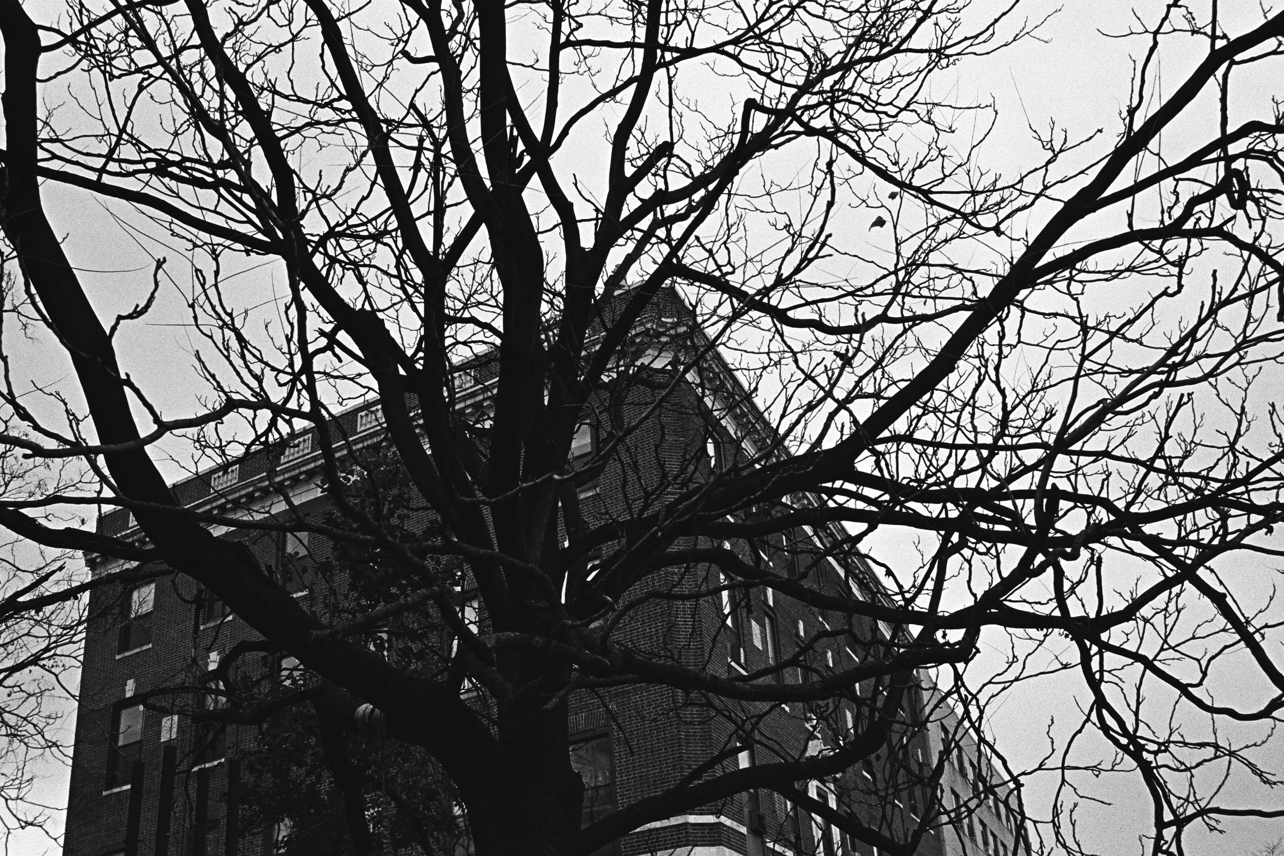 04370035 edit 1 copy.jpg