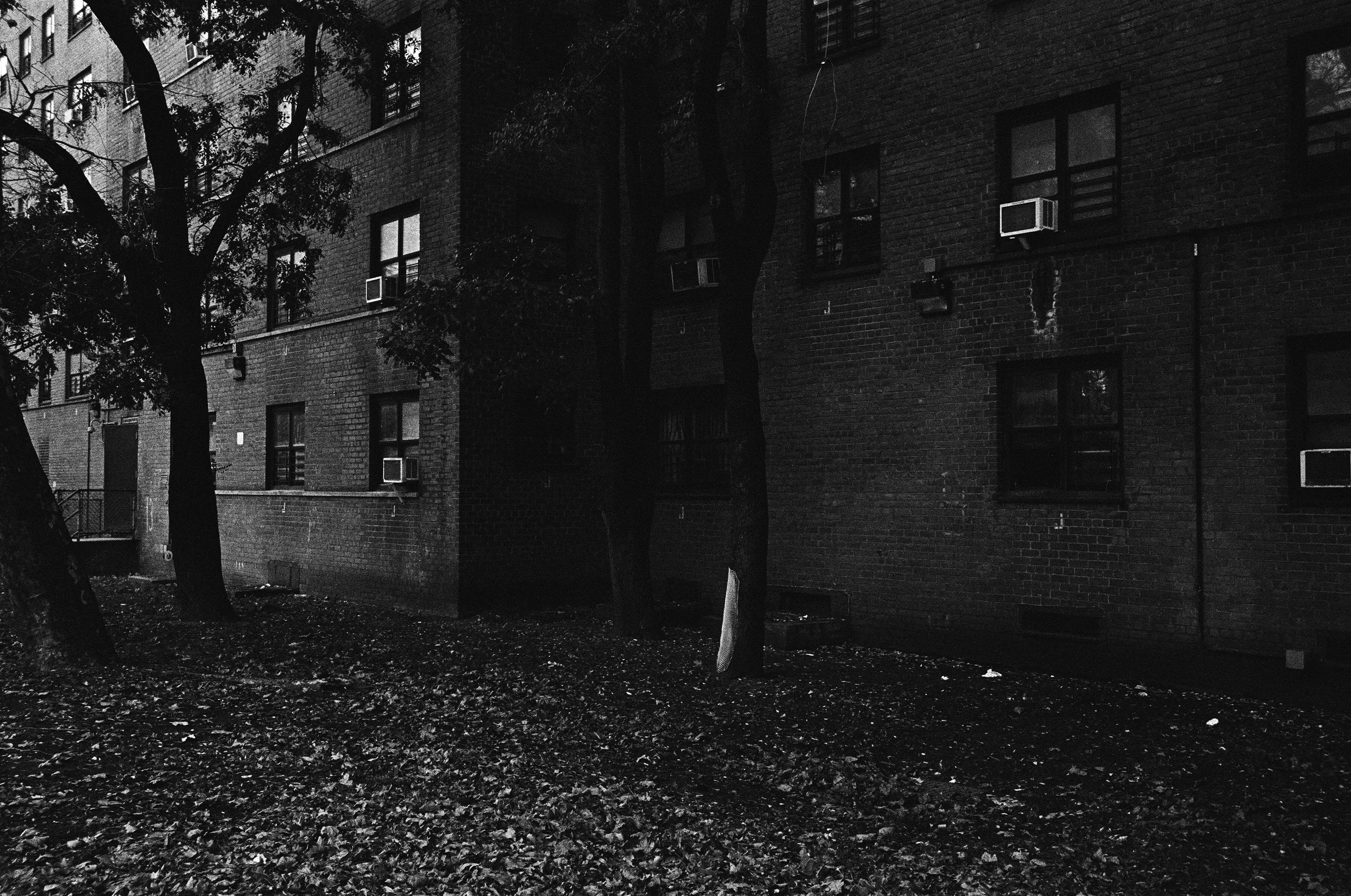 15670008 edit copy.jpg