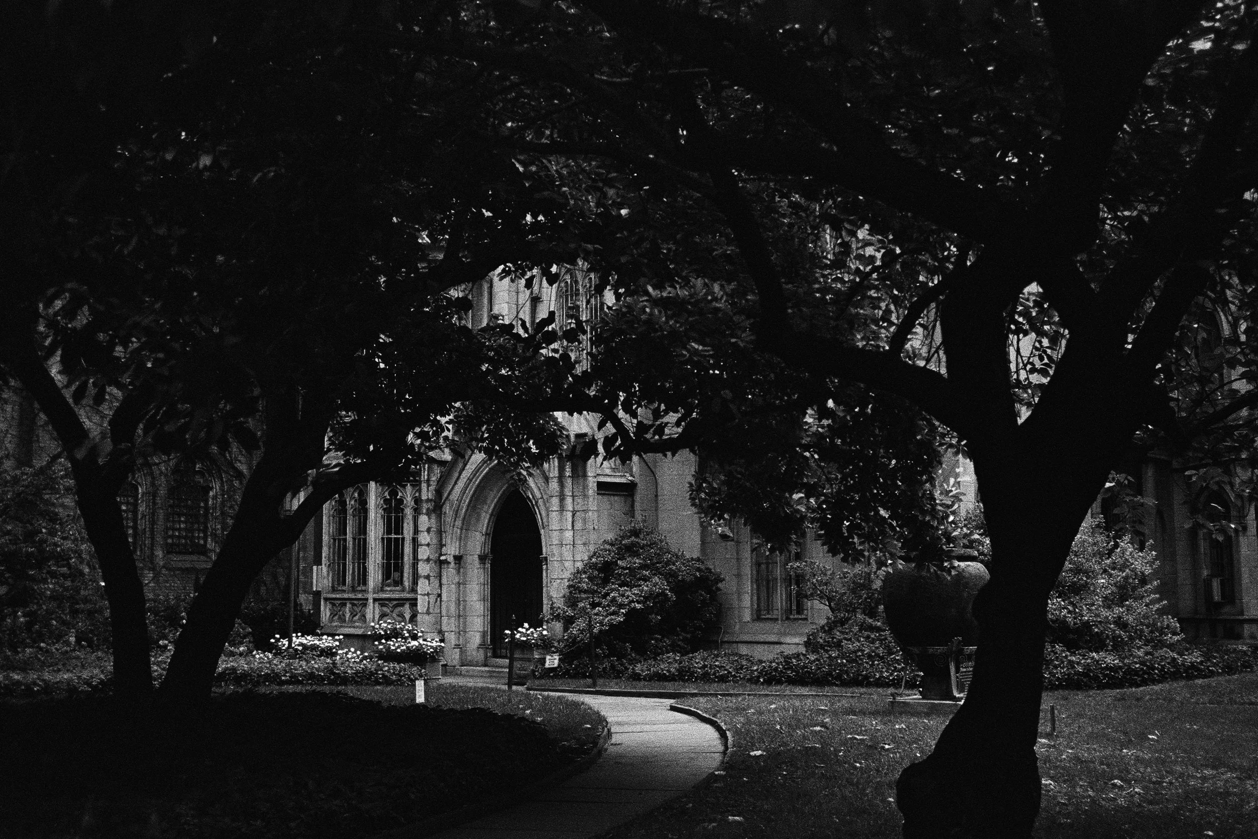 80220001 edit copy 2.jpg