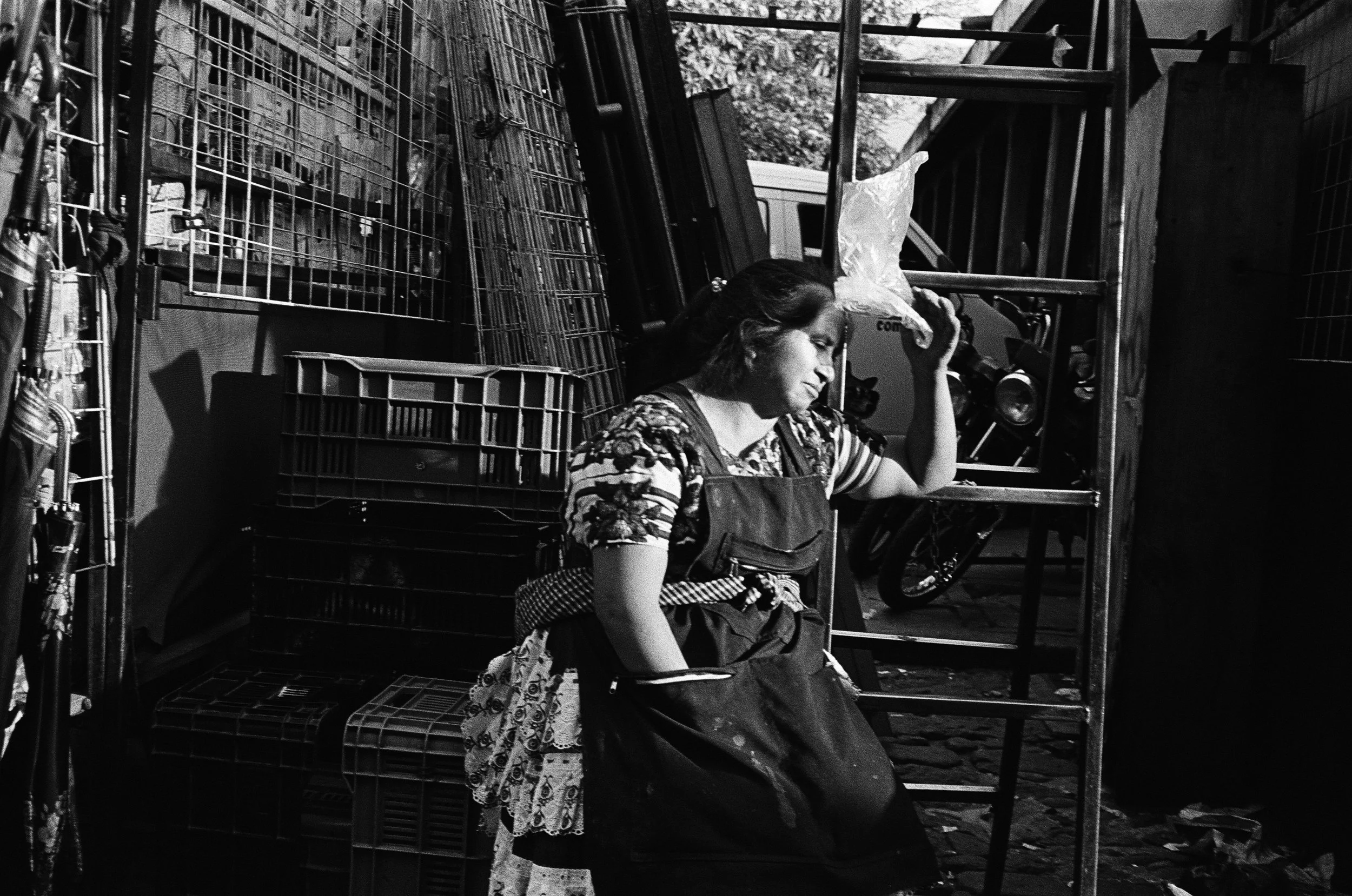 65910005 edit copy.jpg