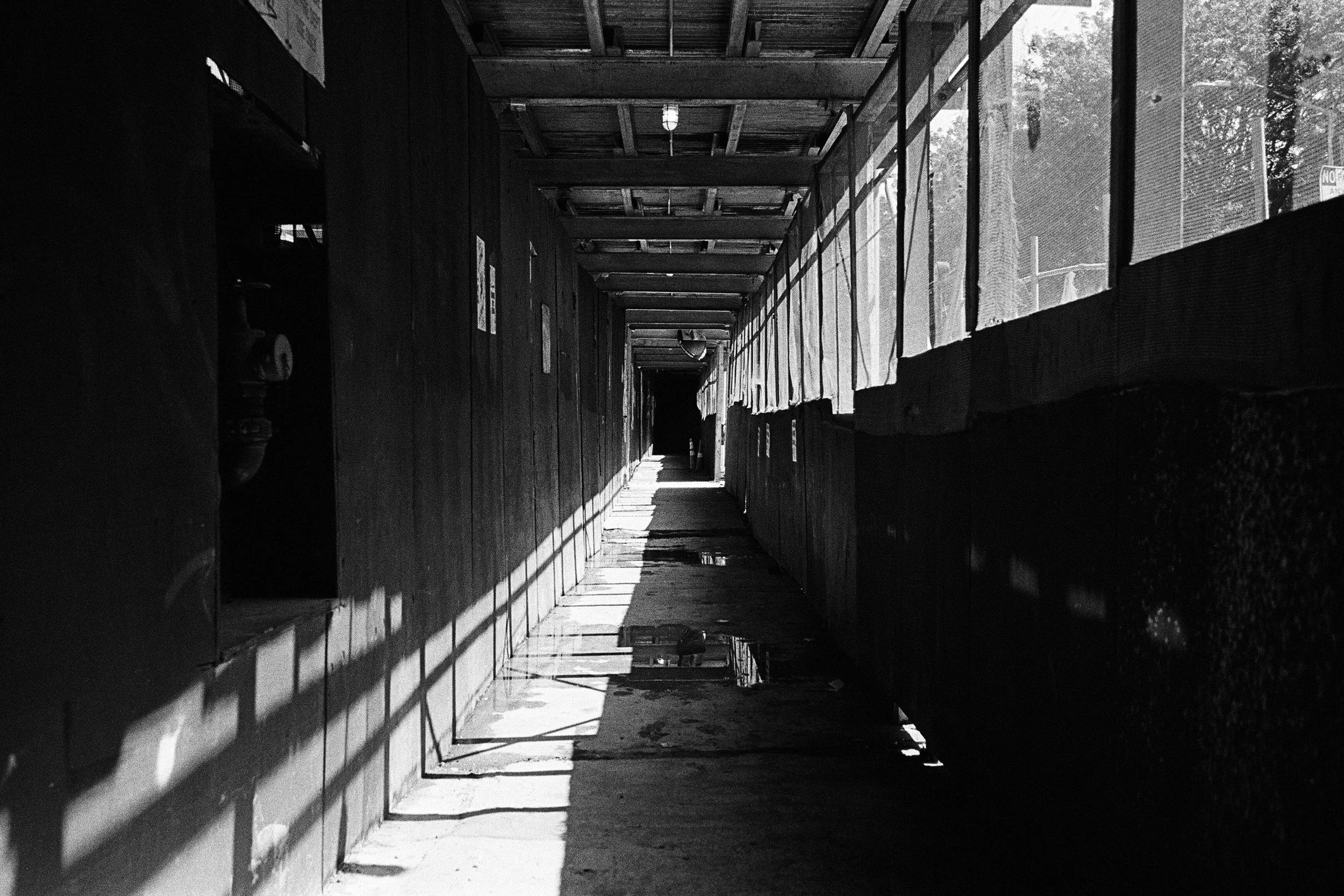 66410006 edit copy.jpg