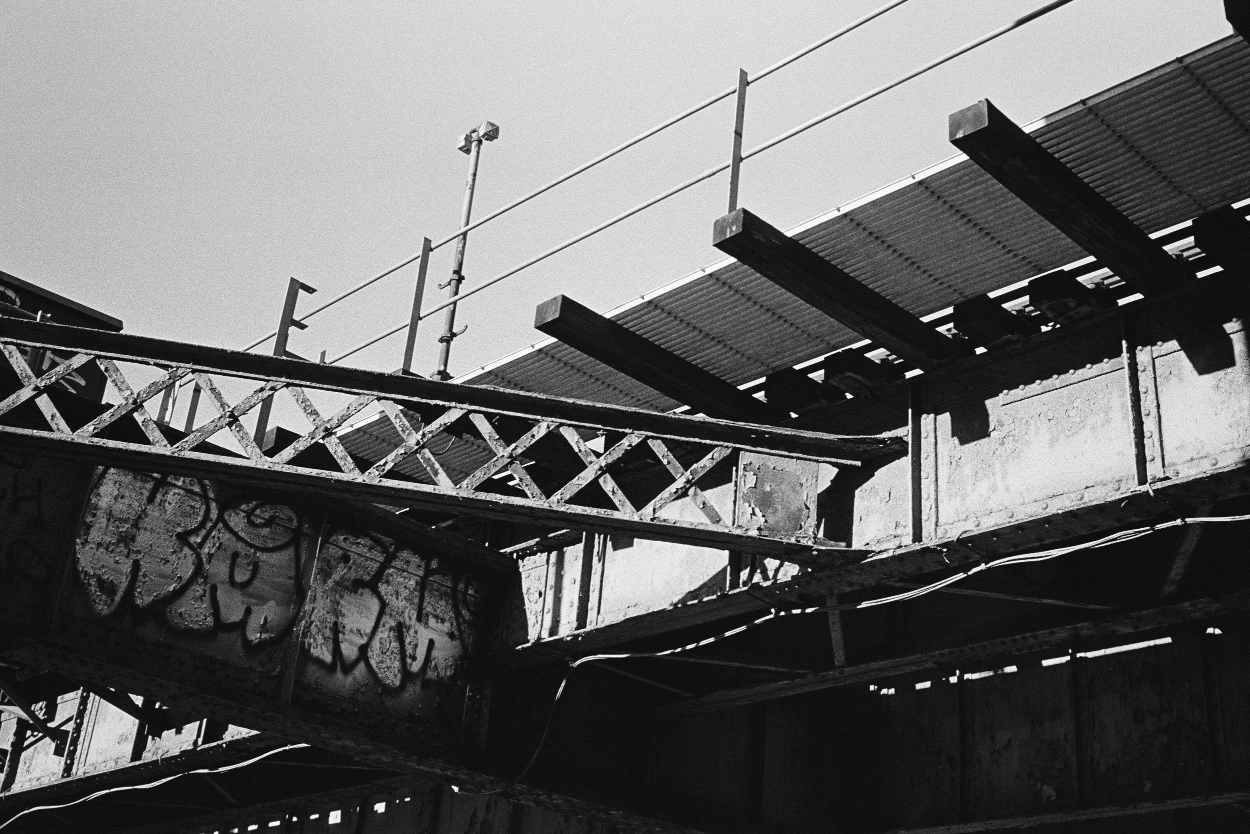 32310022 edit 2 copy.jpg