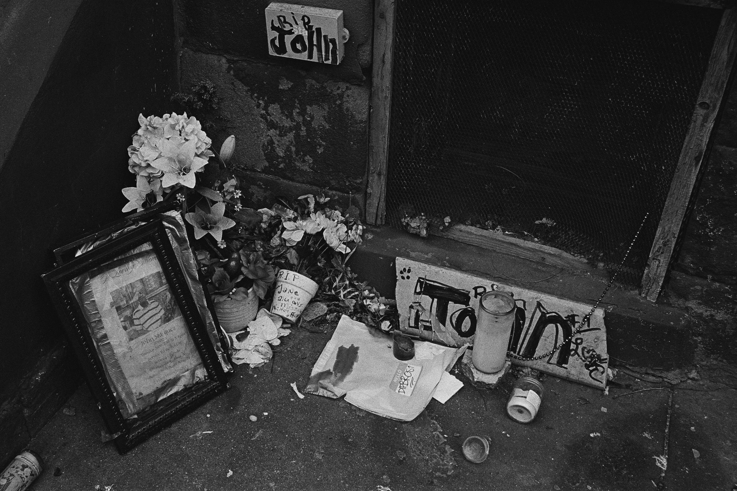 64420012 edit 2 copy.jpg