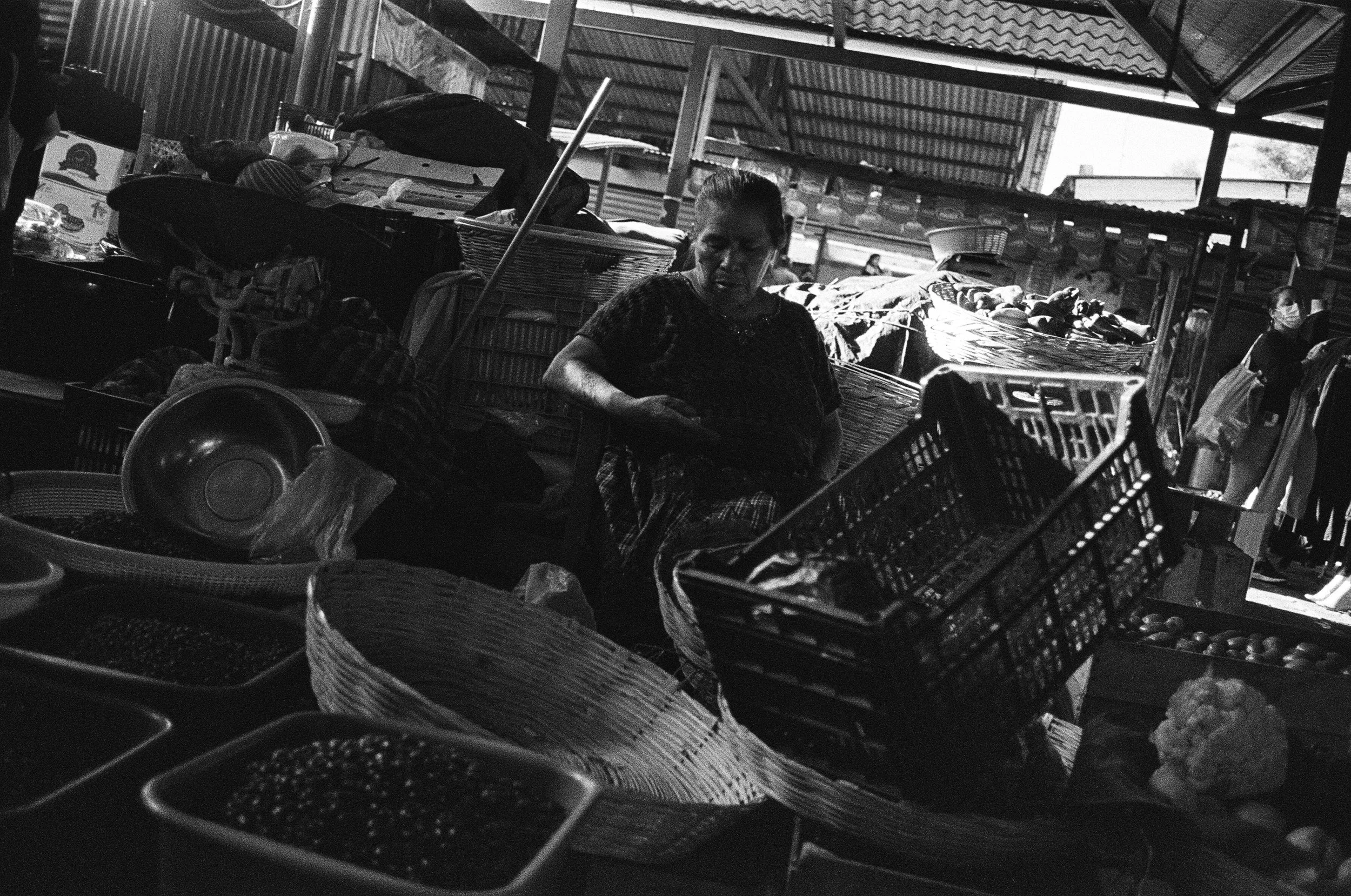 65930029 edit copy.jpg