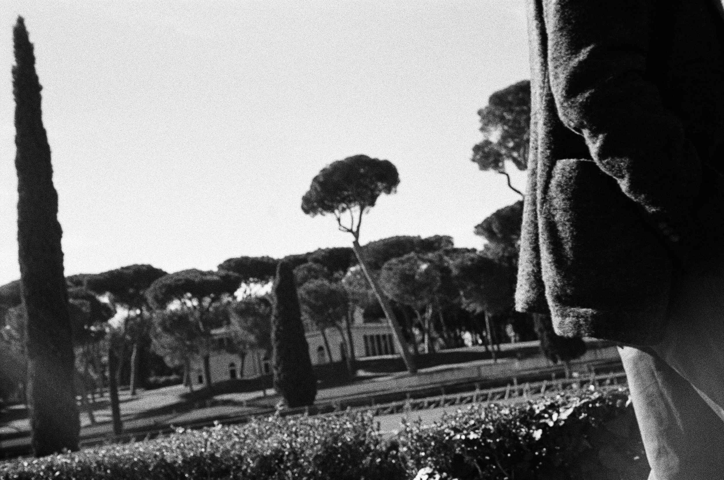 76720018 edit copy.jpg