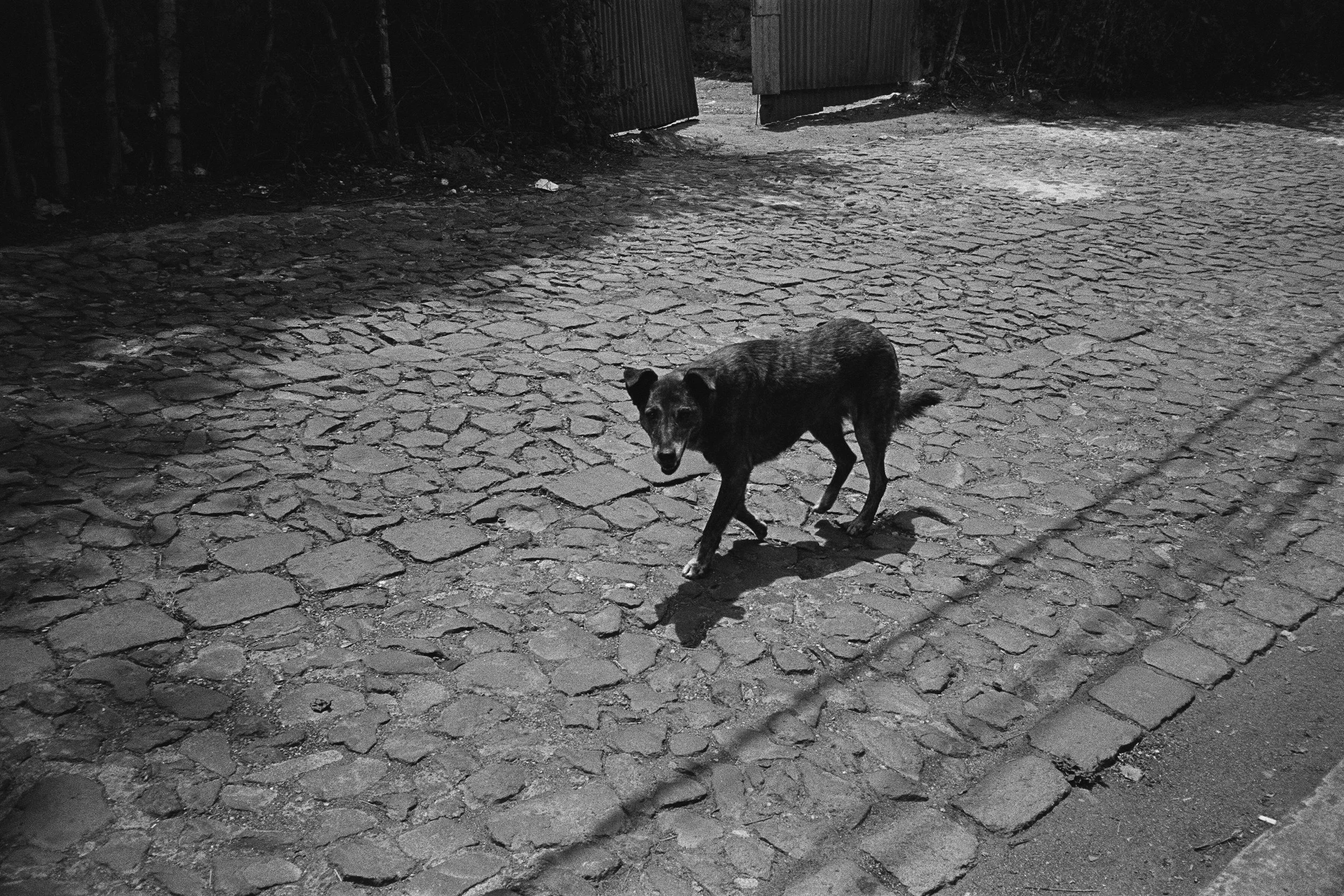 65960007 edit copy.jpg