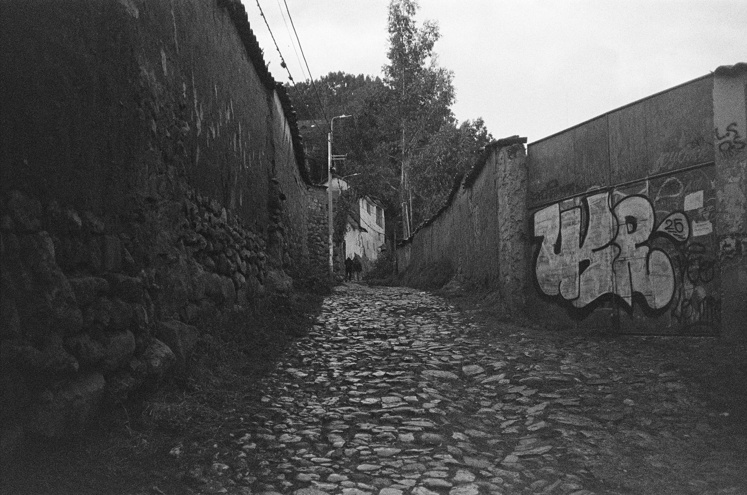 20020003 edit copy.jpg