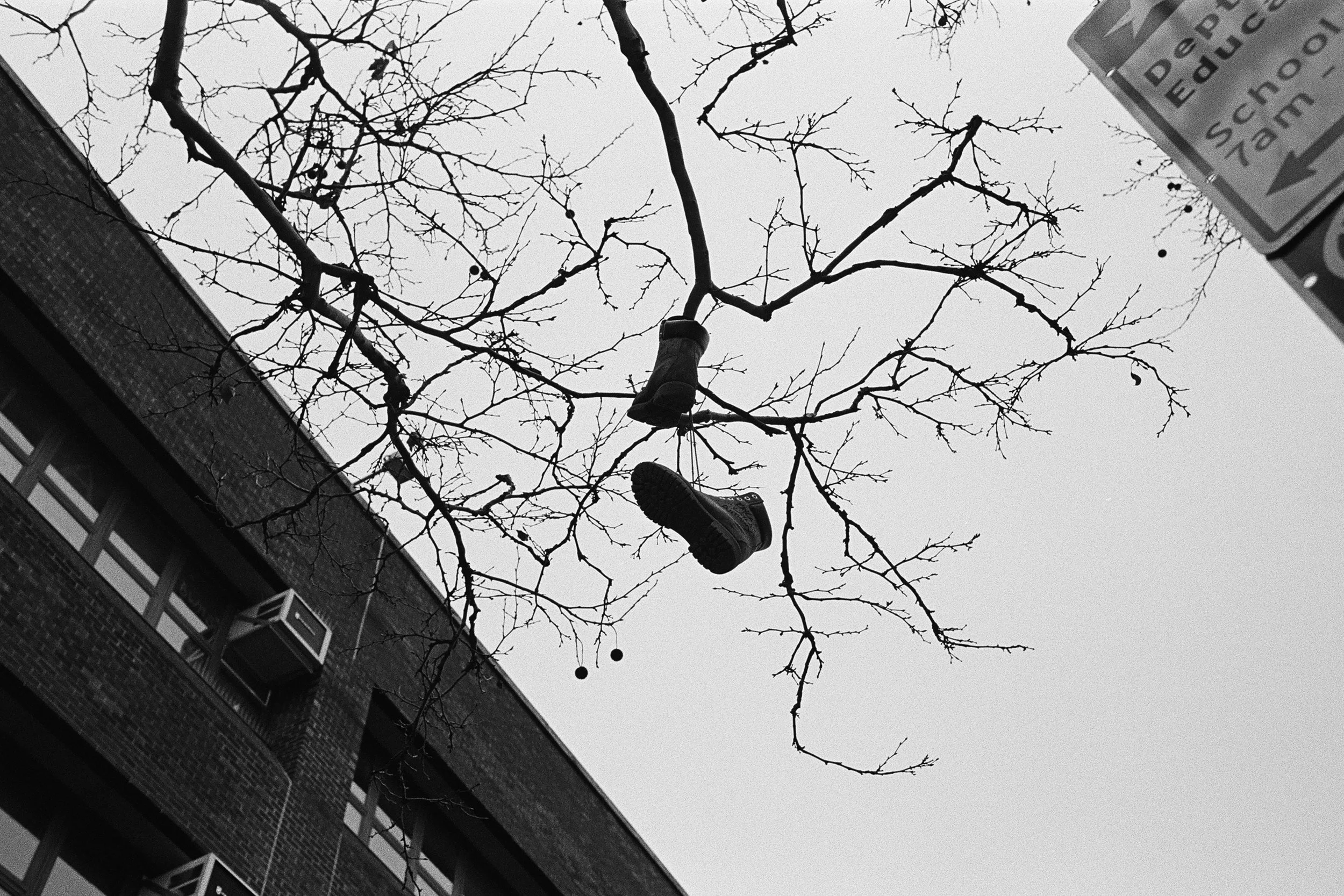 000038240008 edit 2 copy.jpg