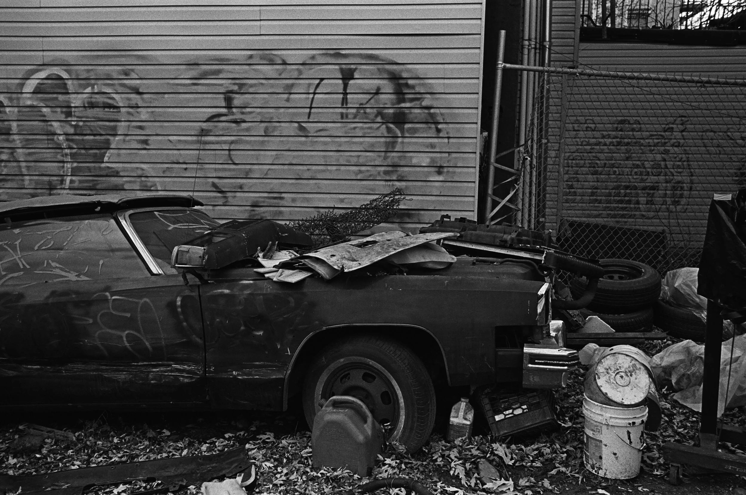 04370013 edit copy.jpg