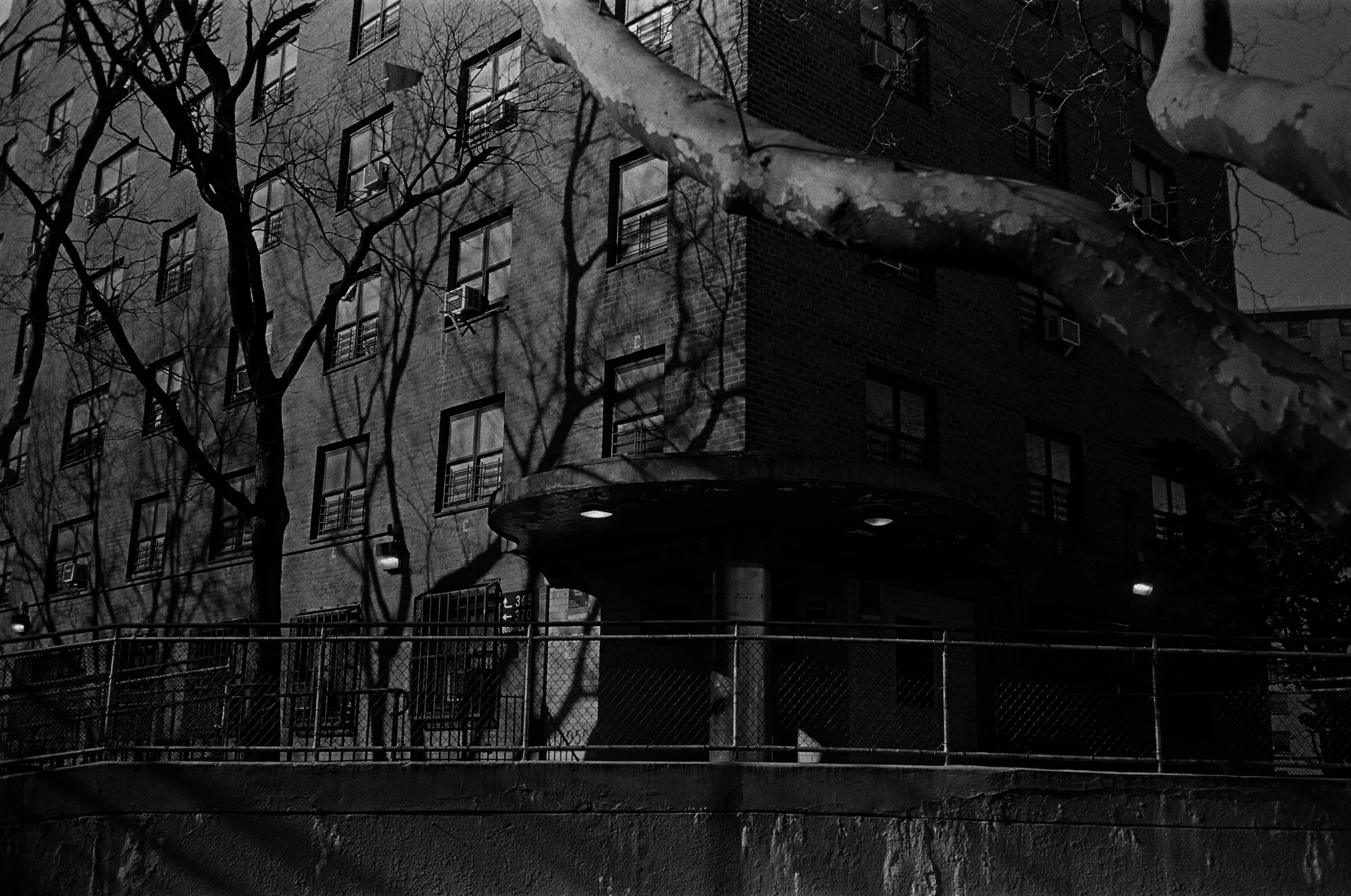 04840028 edit copy.jpg