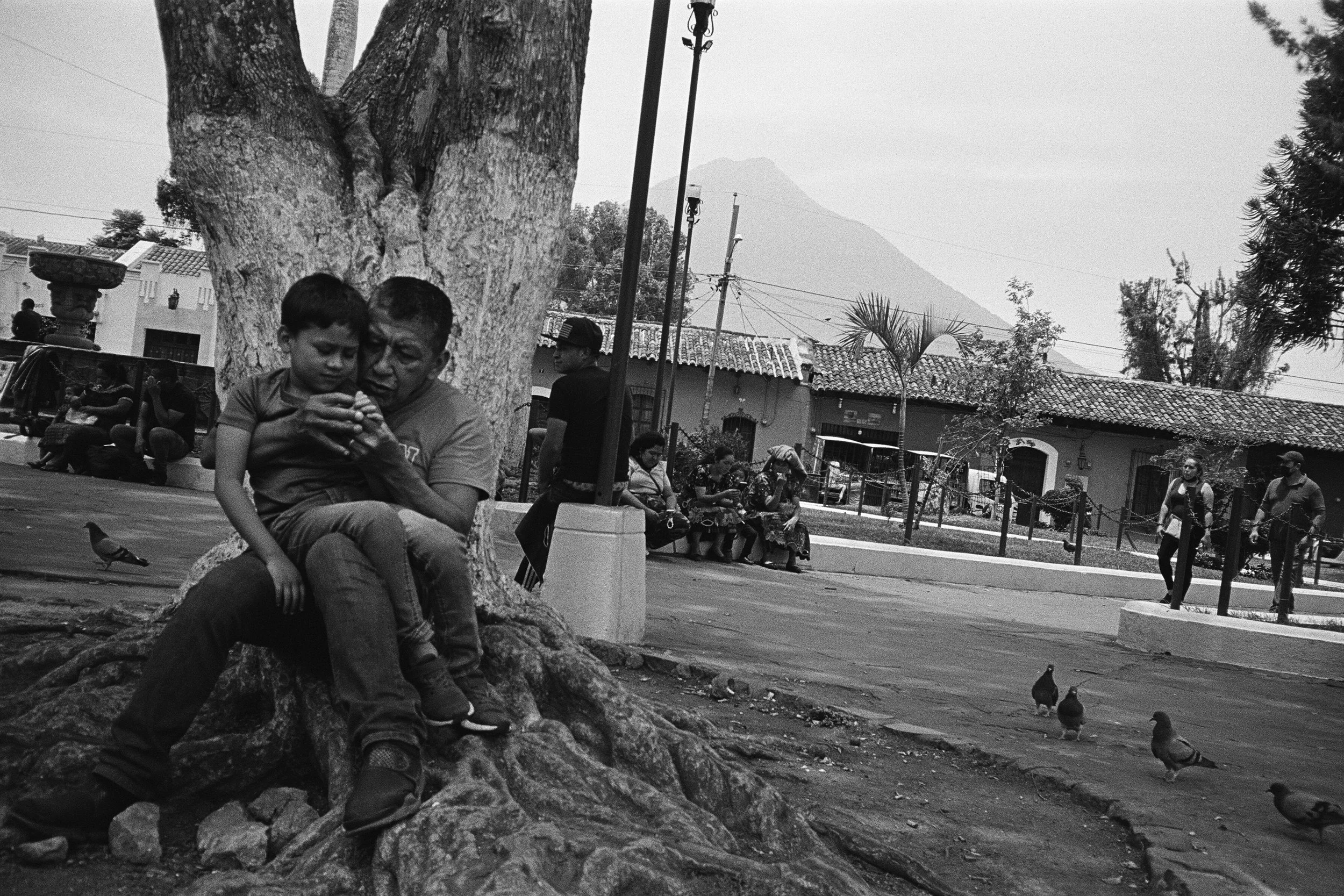 65960015 edit copy.jpg