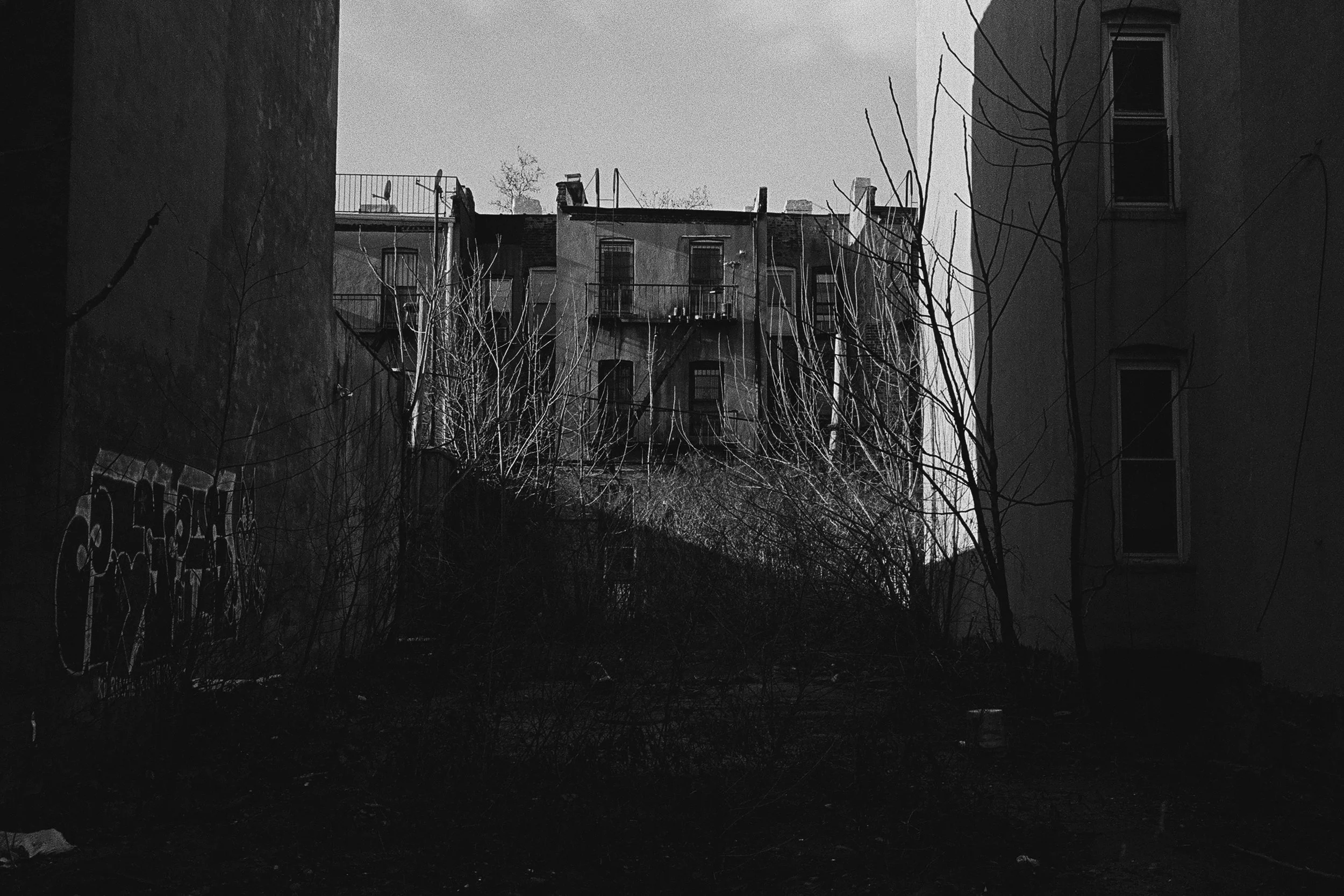 000011920037 edit 2 copy.jpg