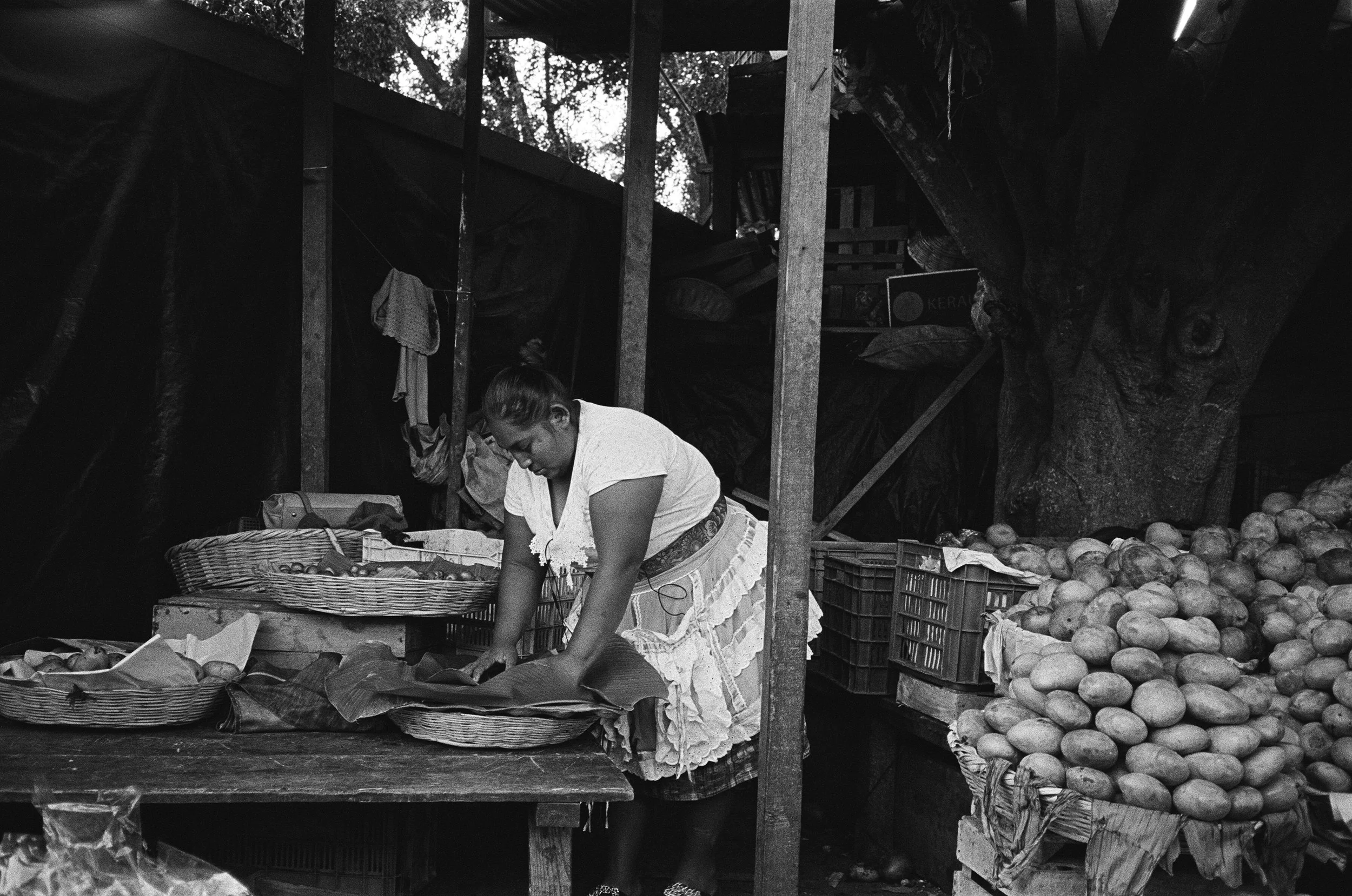 65950002 edit copy 2.jpg