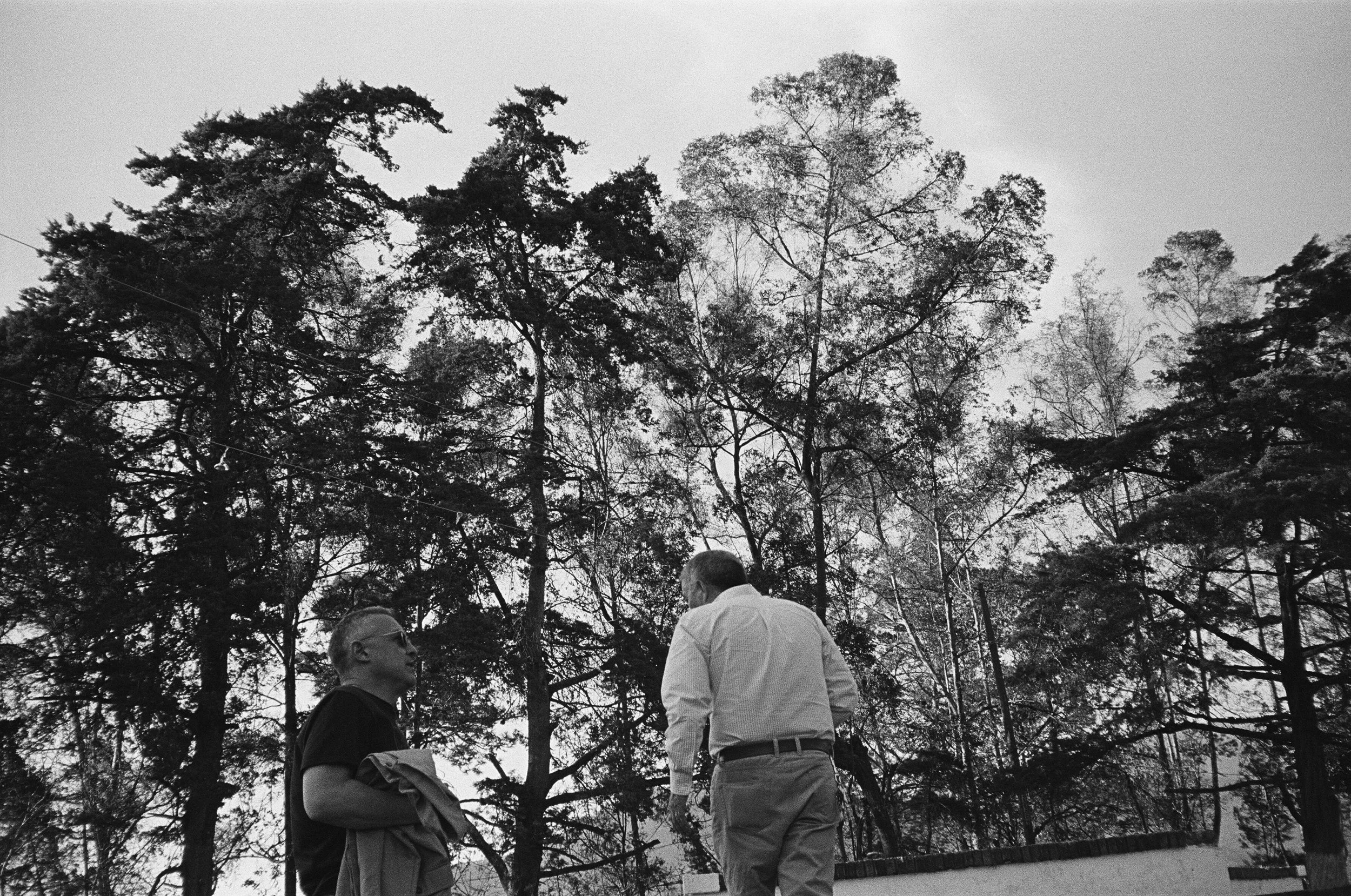 65950024 edit copy.jpg