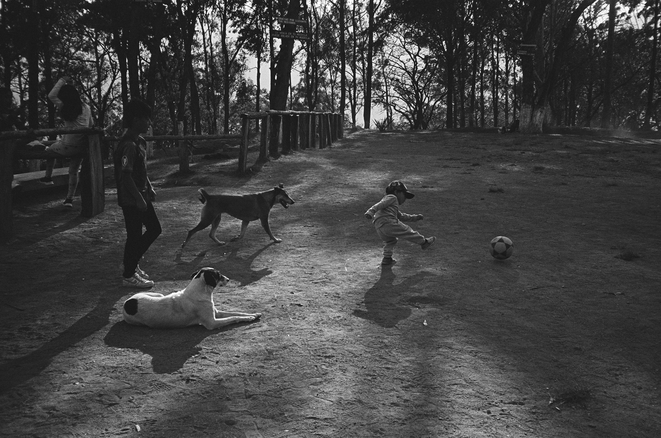 65950031 edit copy 2.jpg