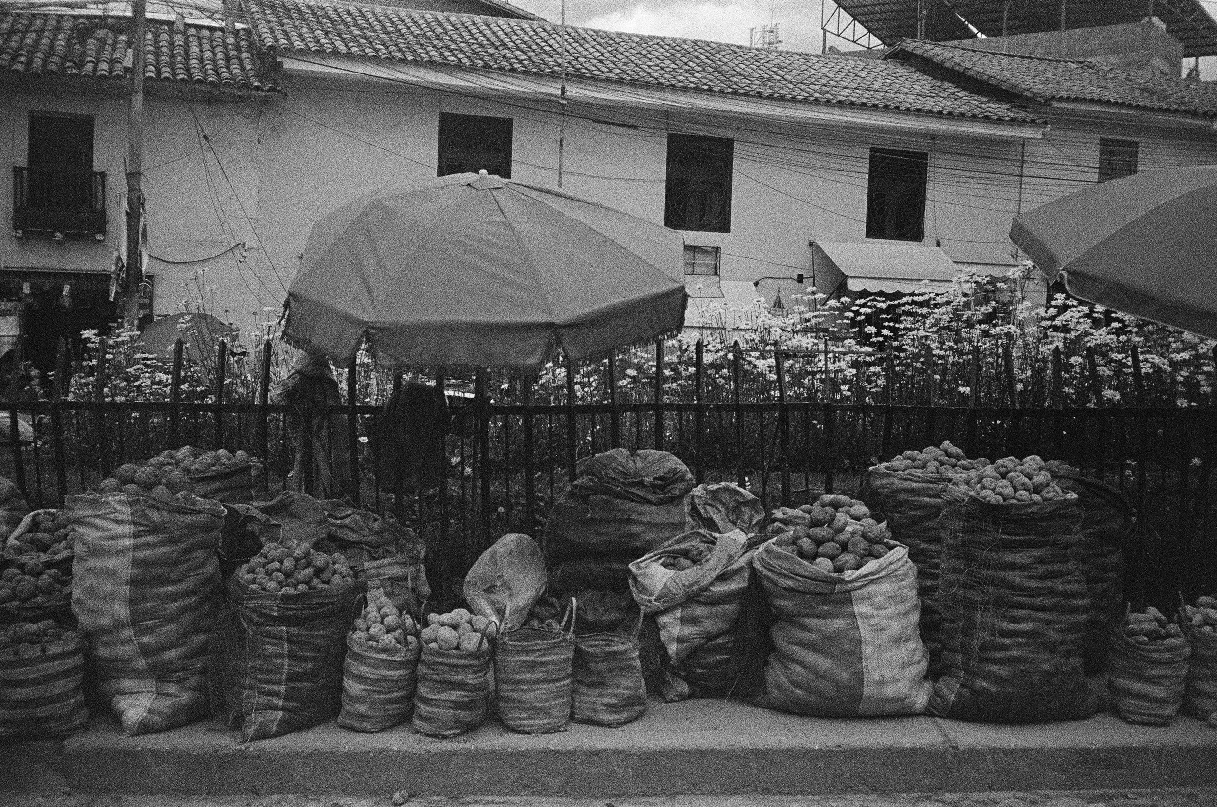 20010026 edit copy.jpg