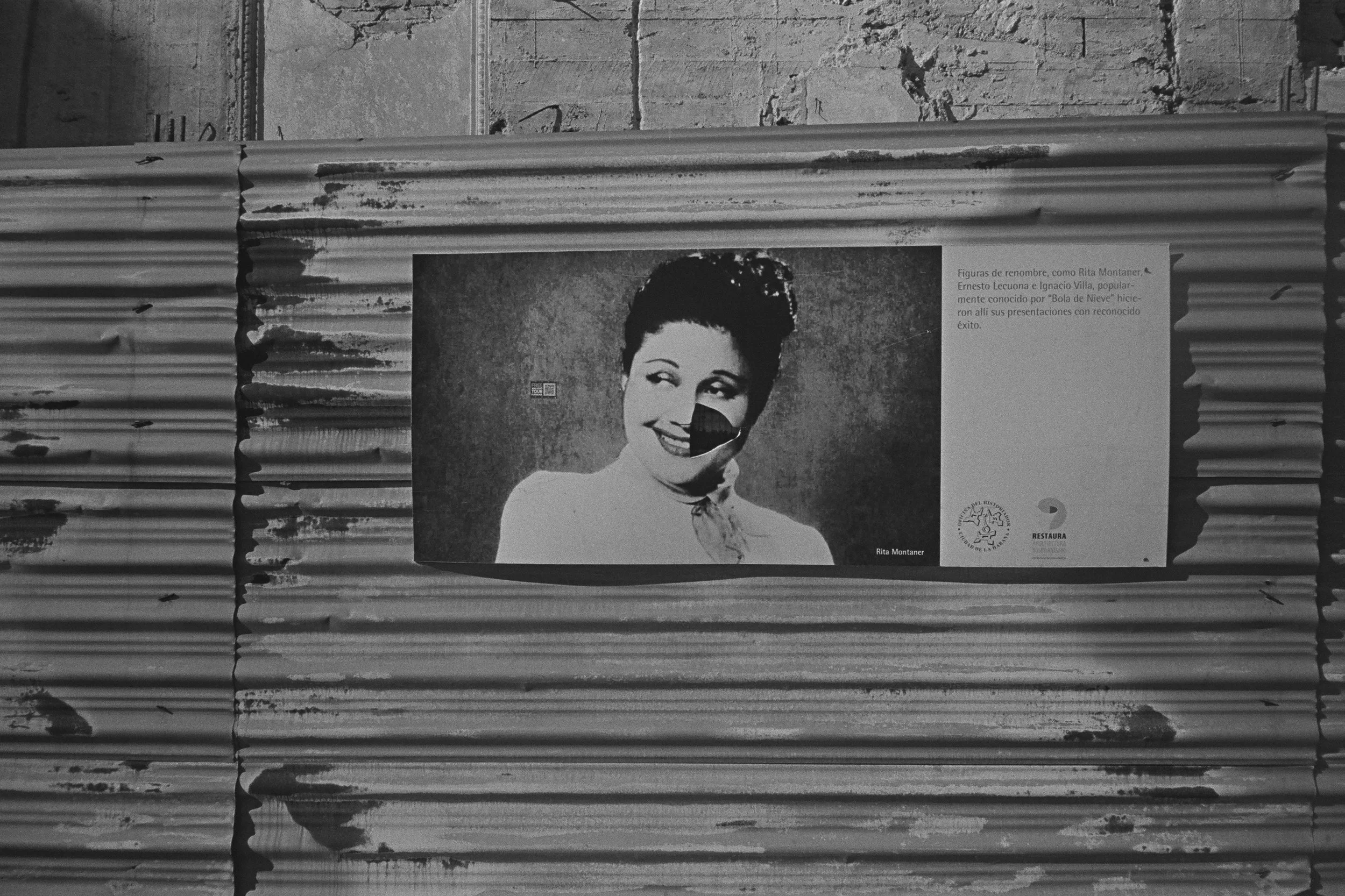 04840008 edit copy.jpg