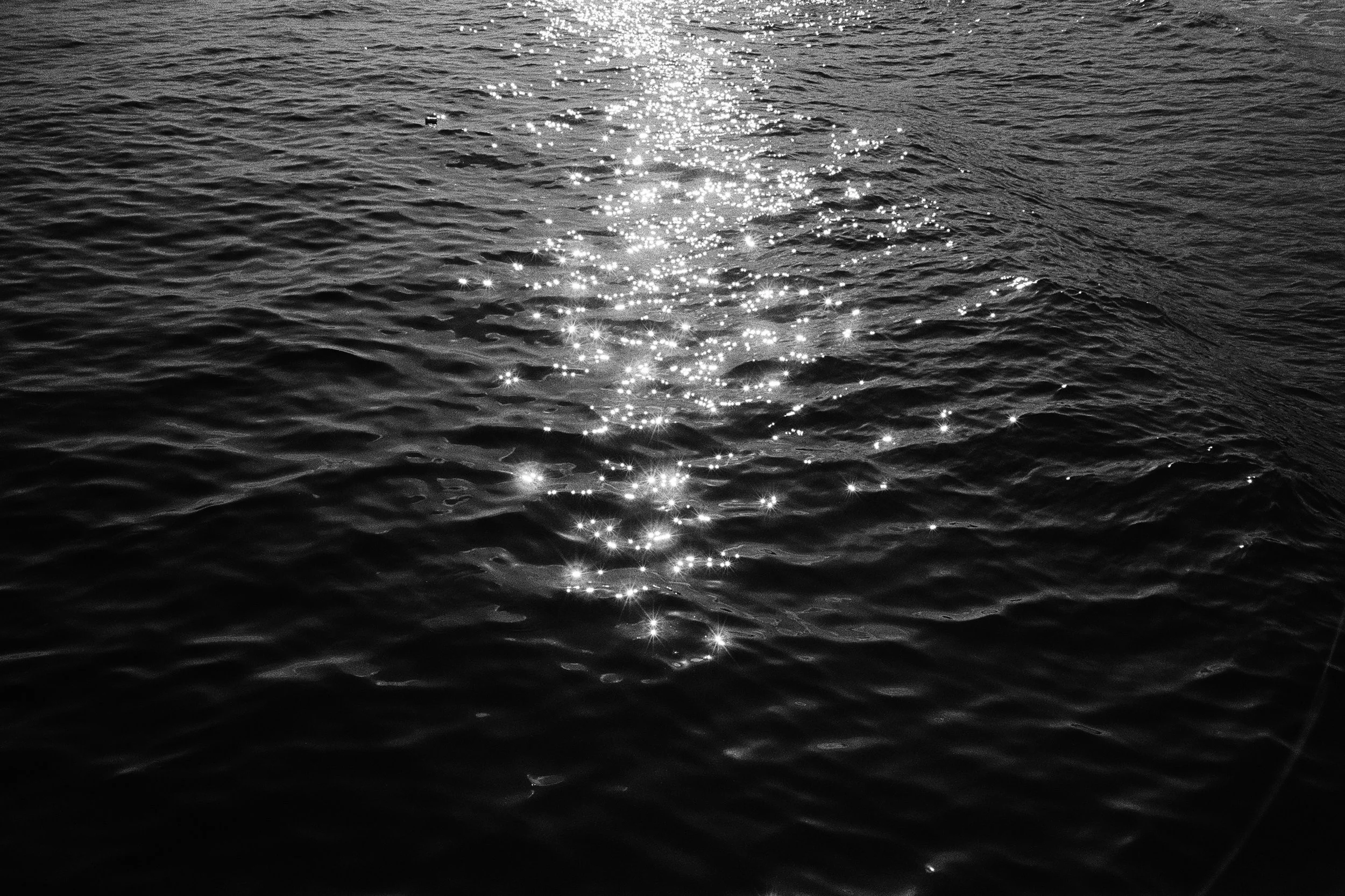 000006170026 edit copy.jpg