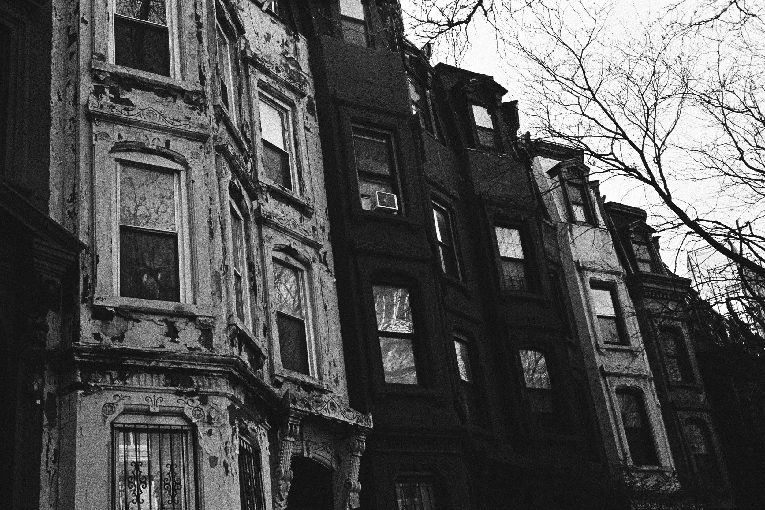 64900008 Edit 1 copy.jpg