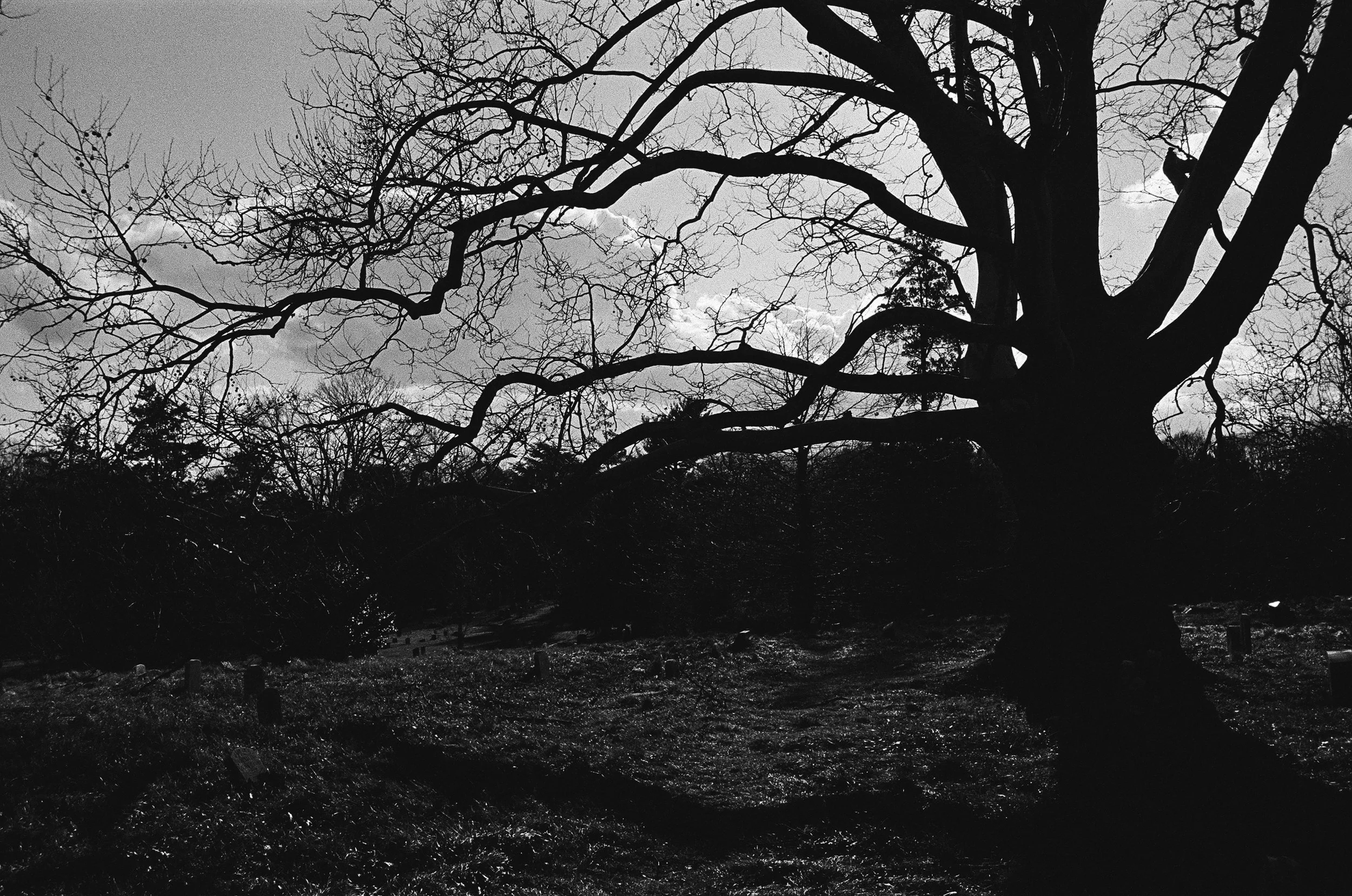 000038240021 edit copy.jpg