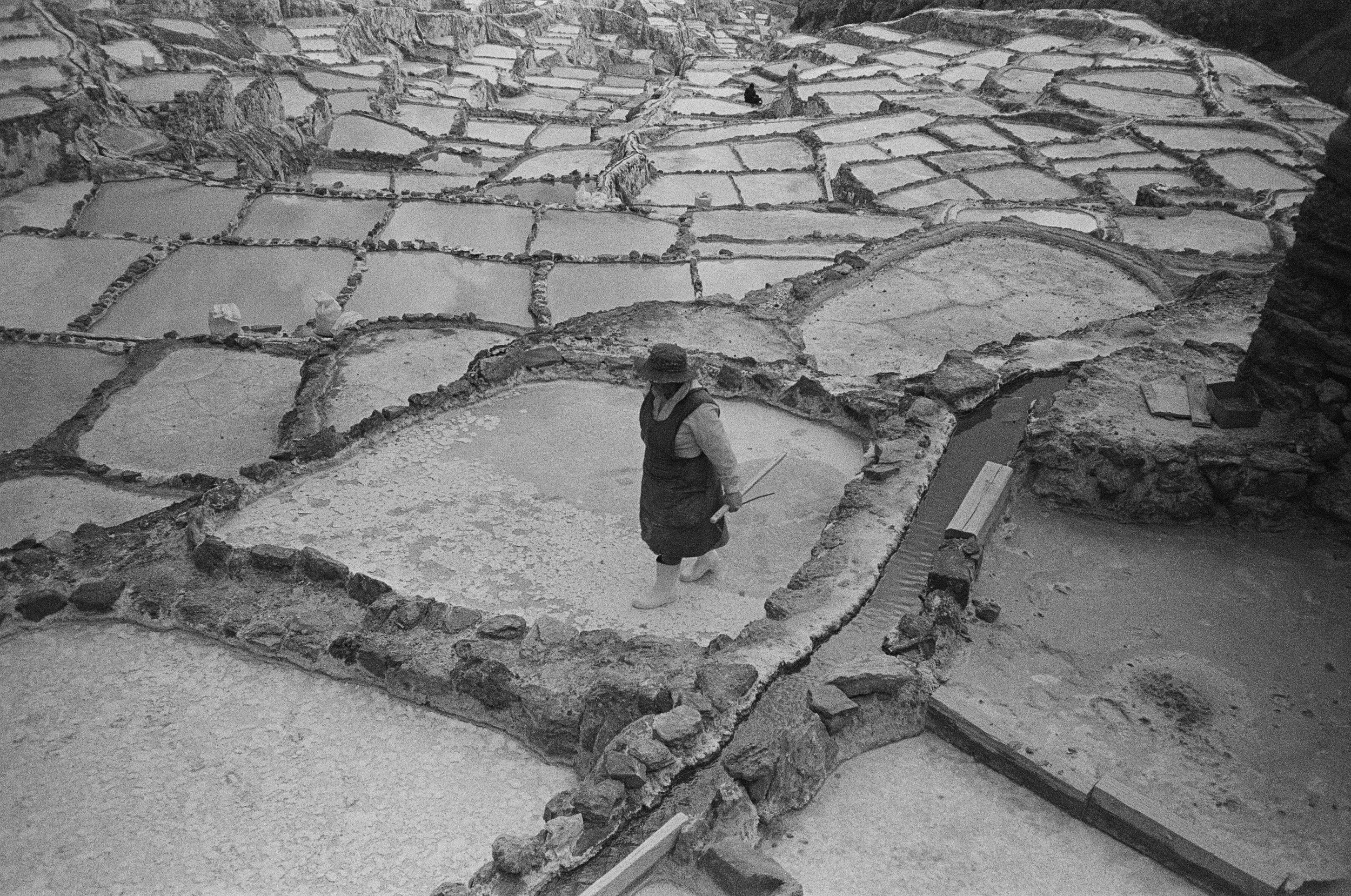 20060016 edit copy.jpg