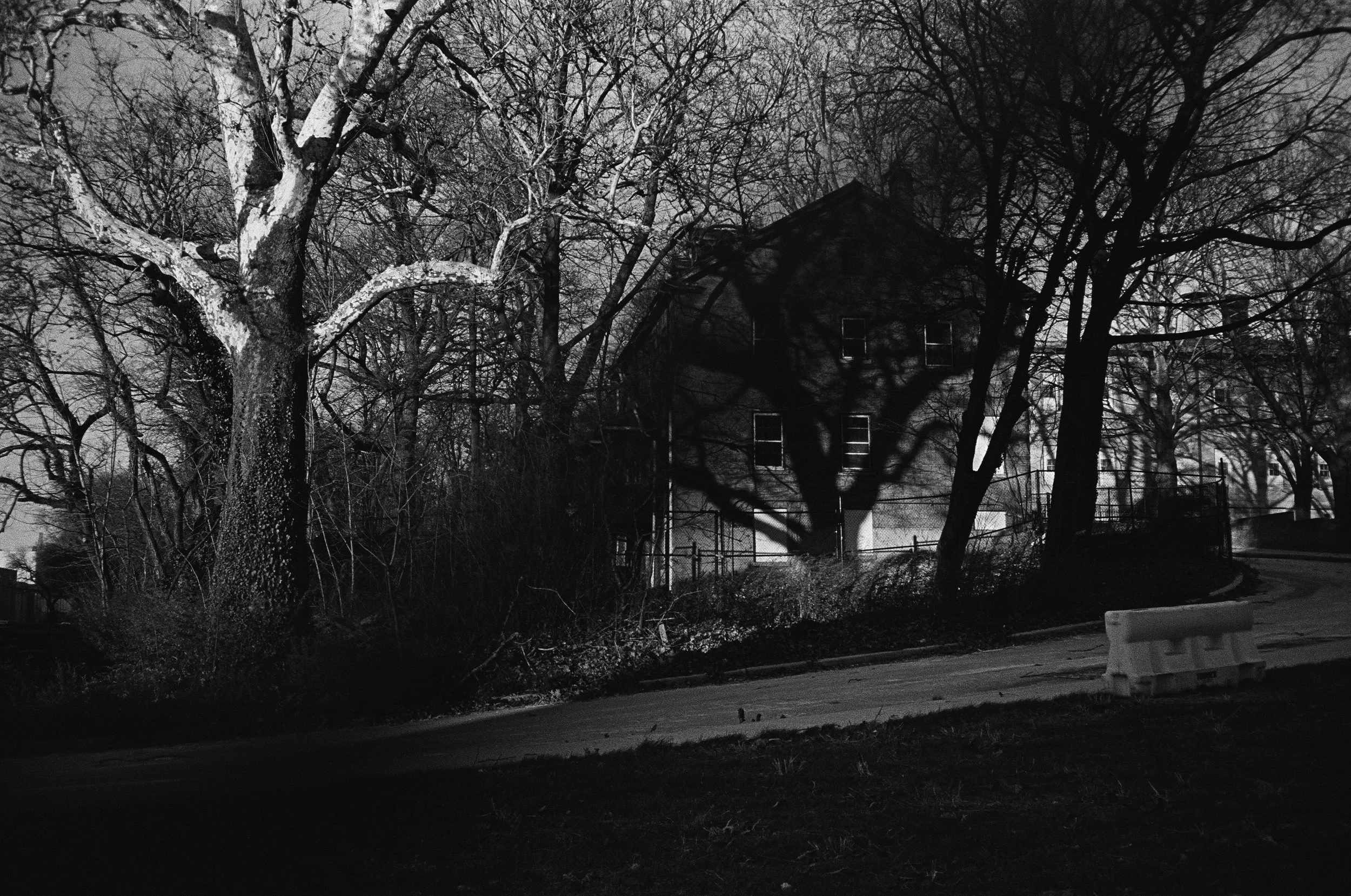 32310030 edit 2 copy.jpg