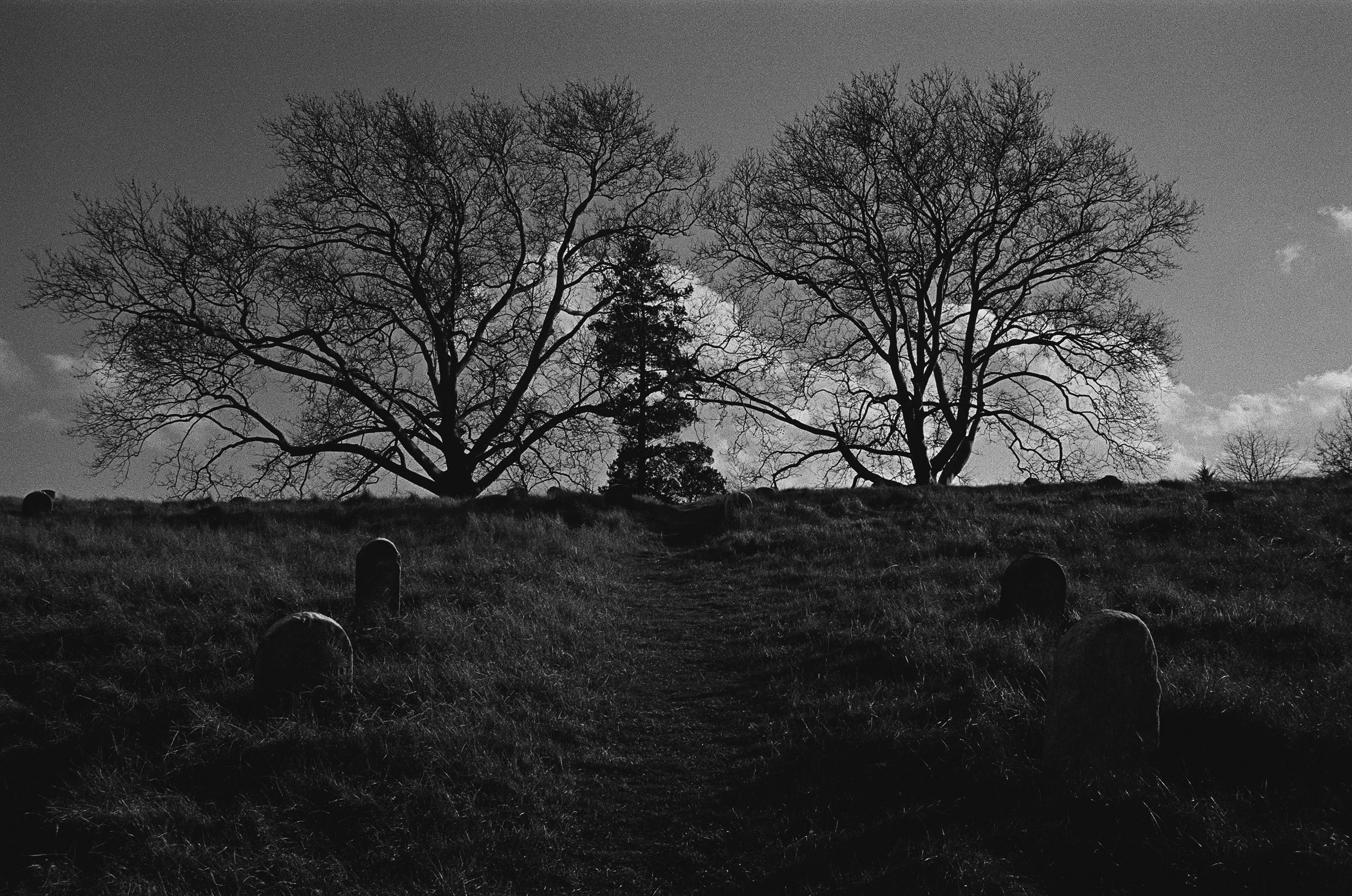 000038240019 edit copy.jpg