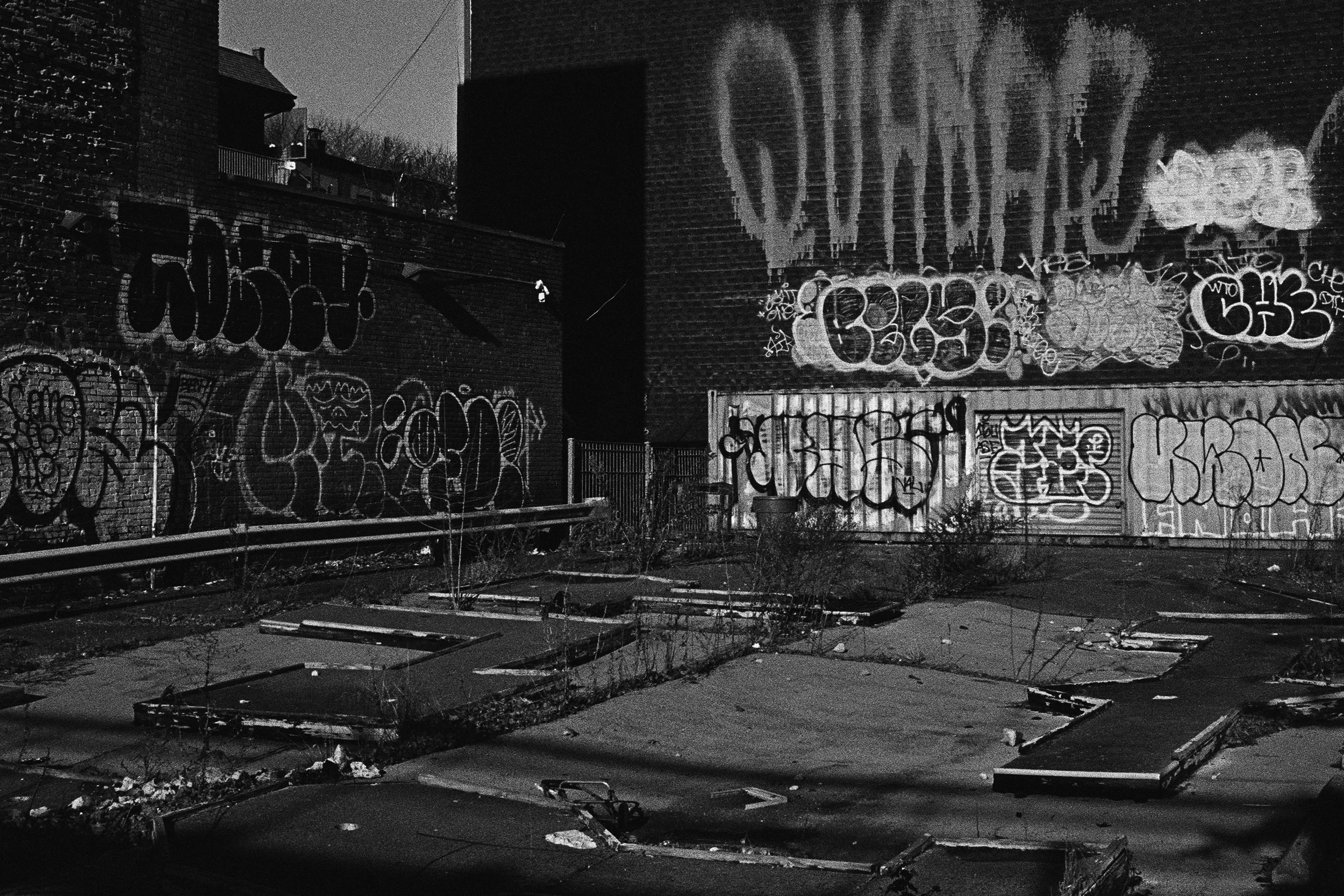 15670029 edit 2 copy.jpg