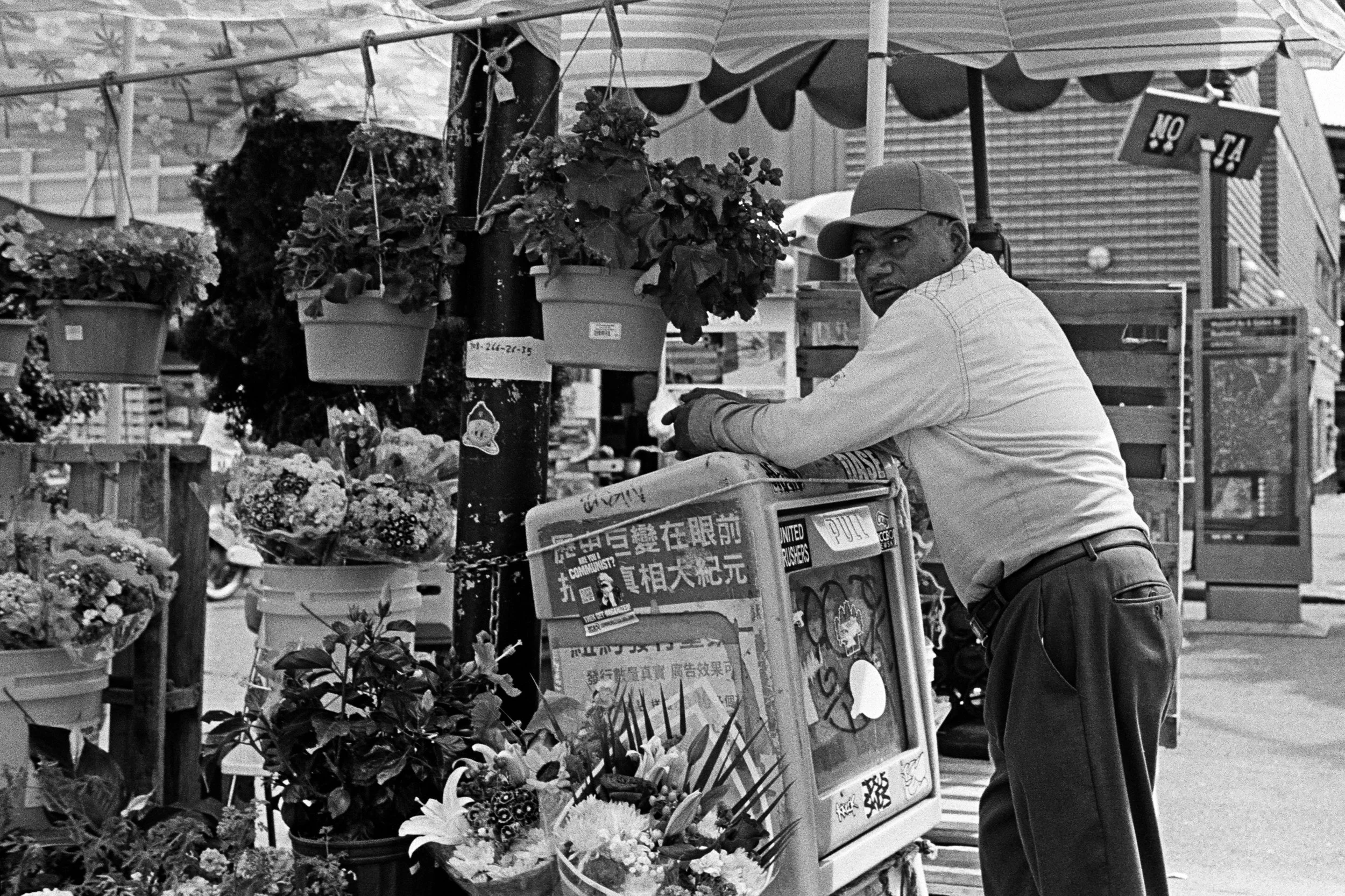 77490017 edit copy 2.jpg