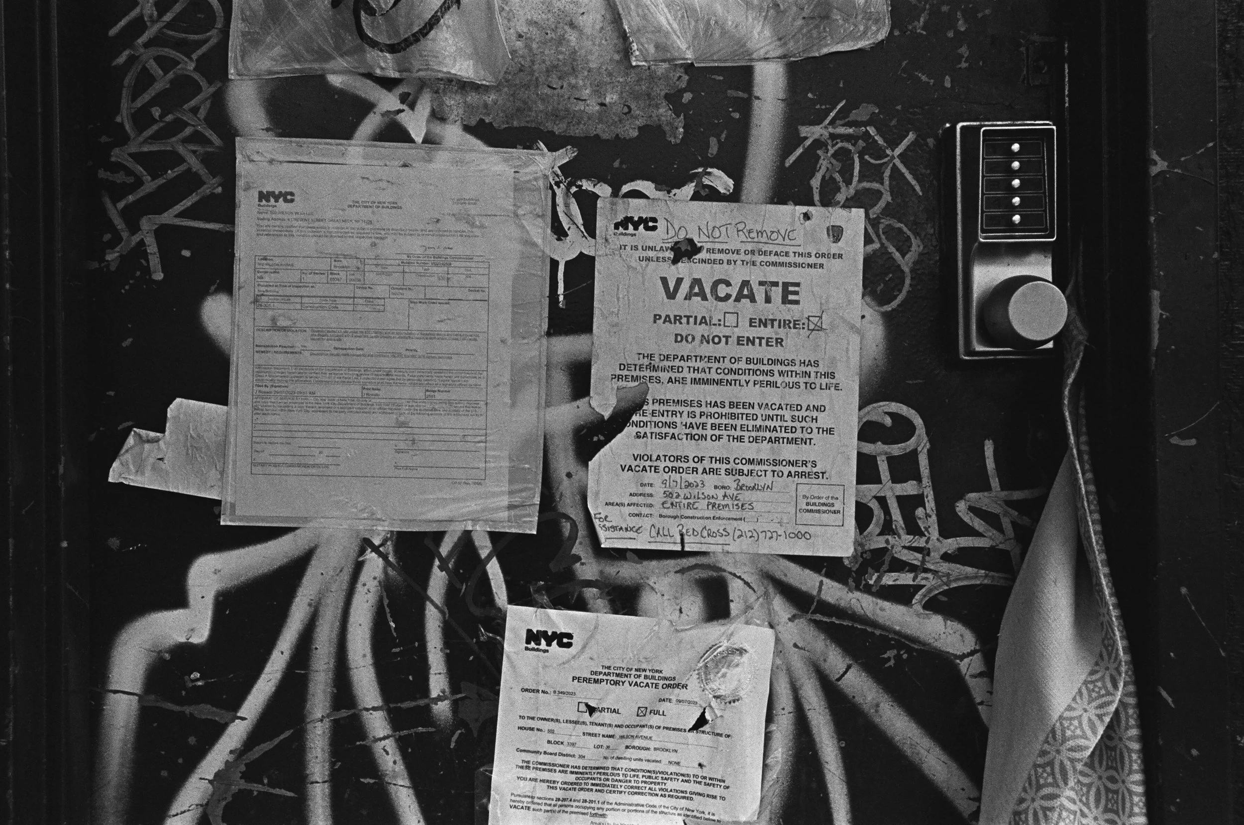 04360003 edit copy.jpg