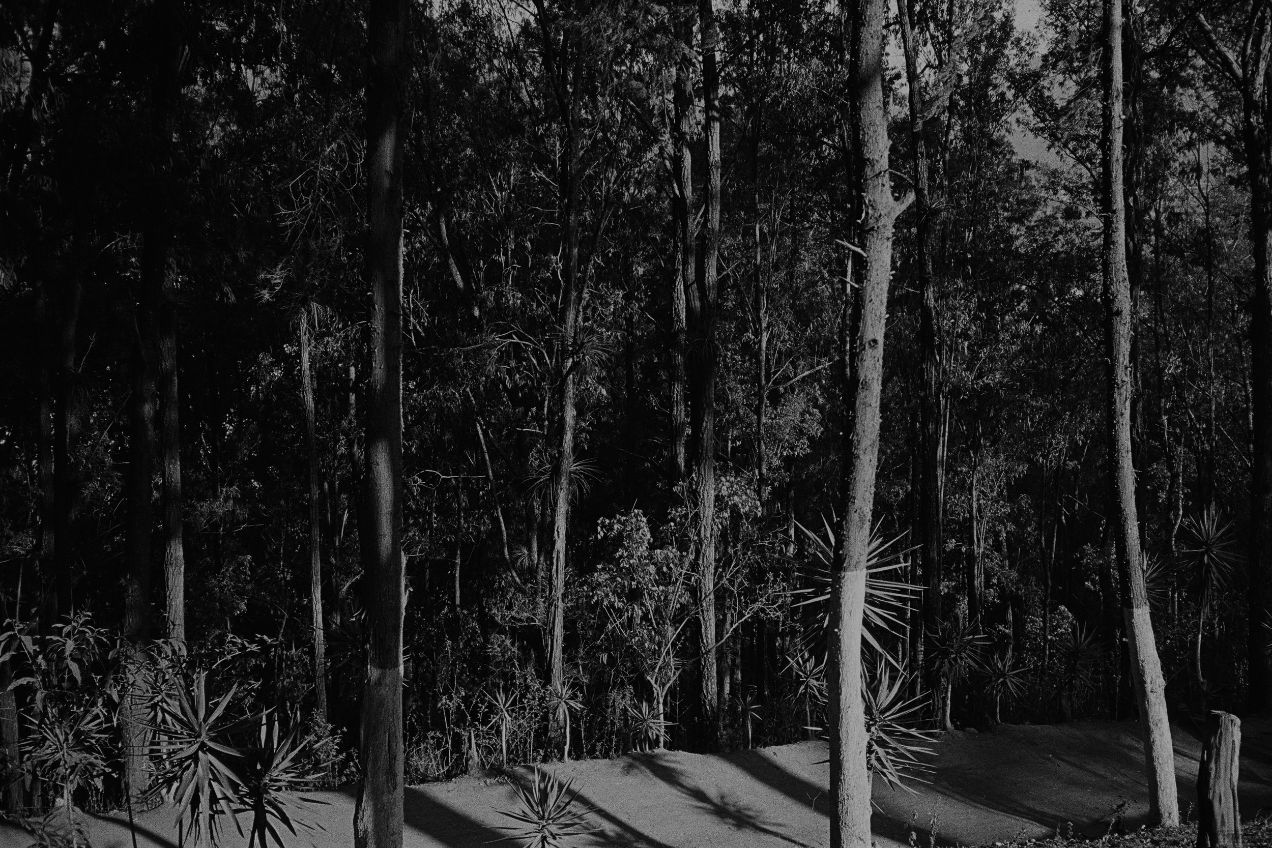 65950037 edit copy.jpg